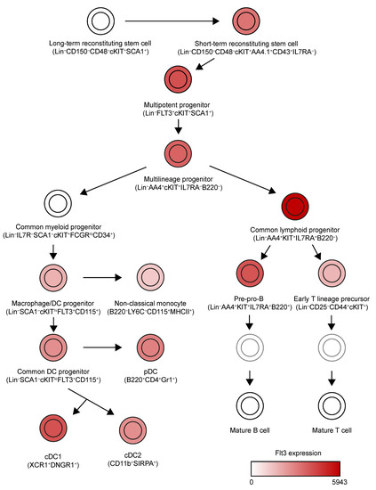 CLL Society Introduces the Protecting Innovation in Rare Cancers