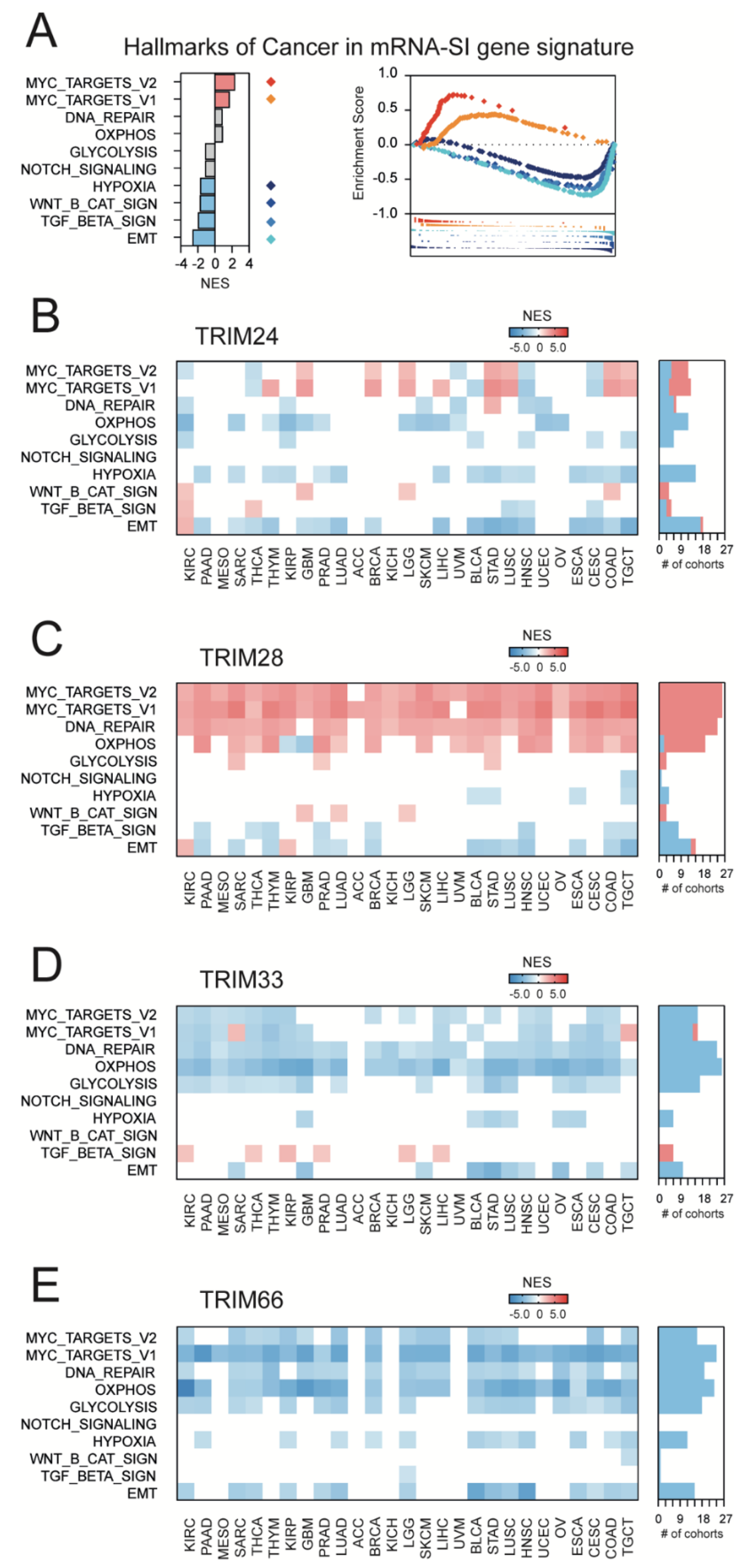 Cancers 13 01528 g004