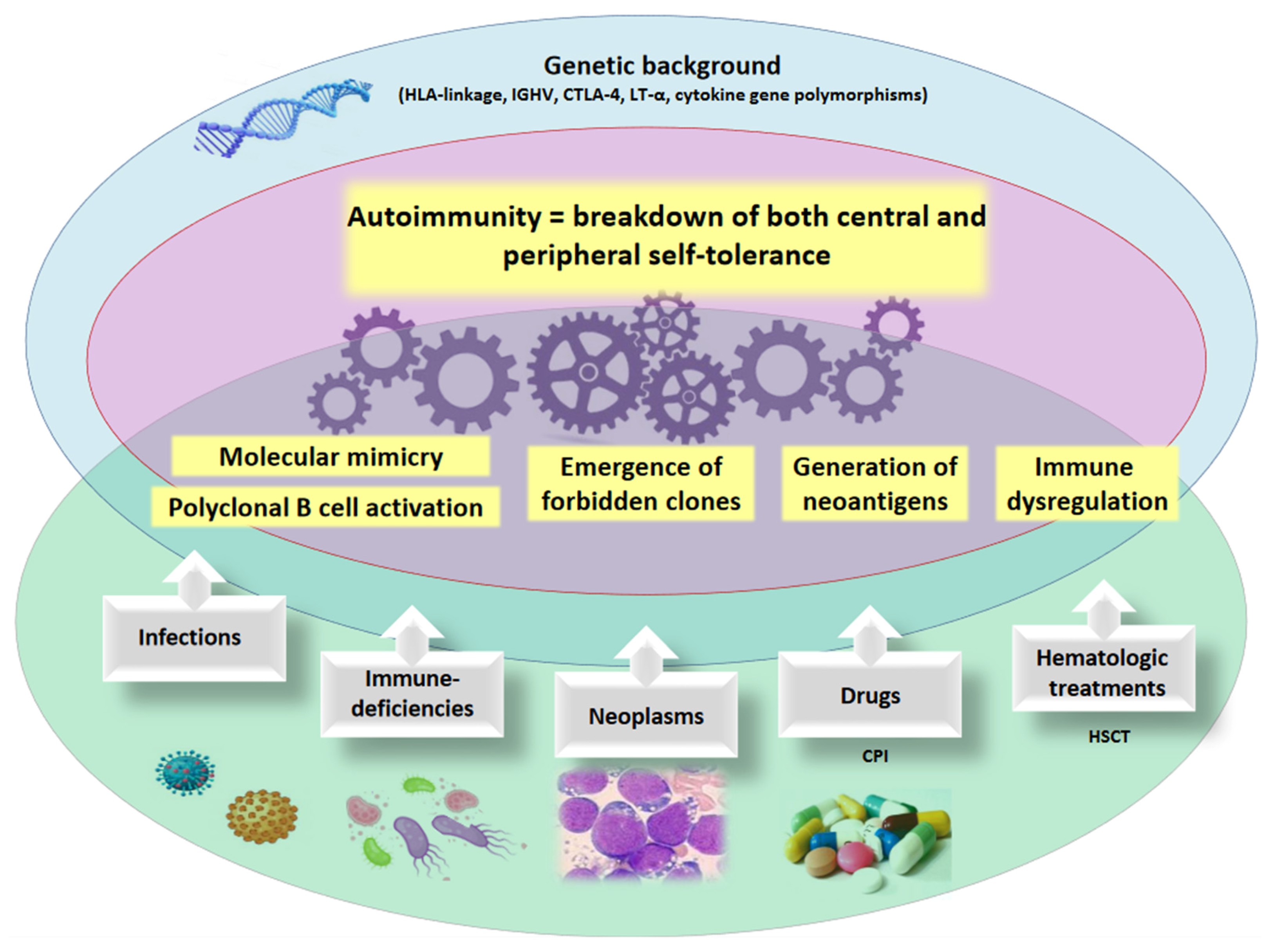 Cancers 13 01532 g001