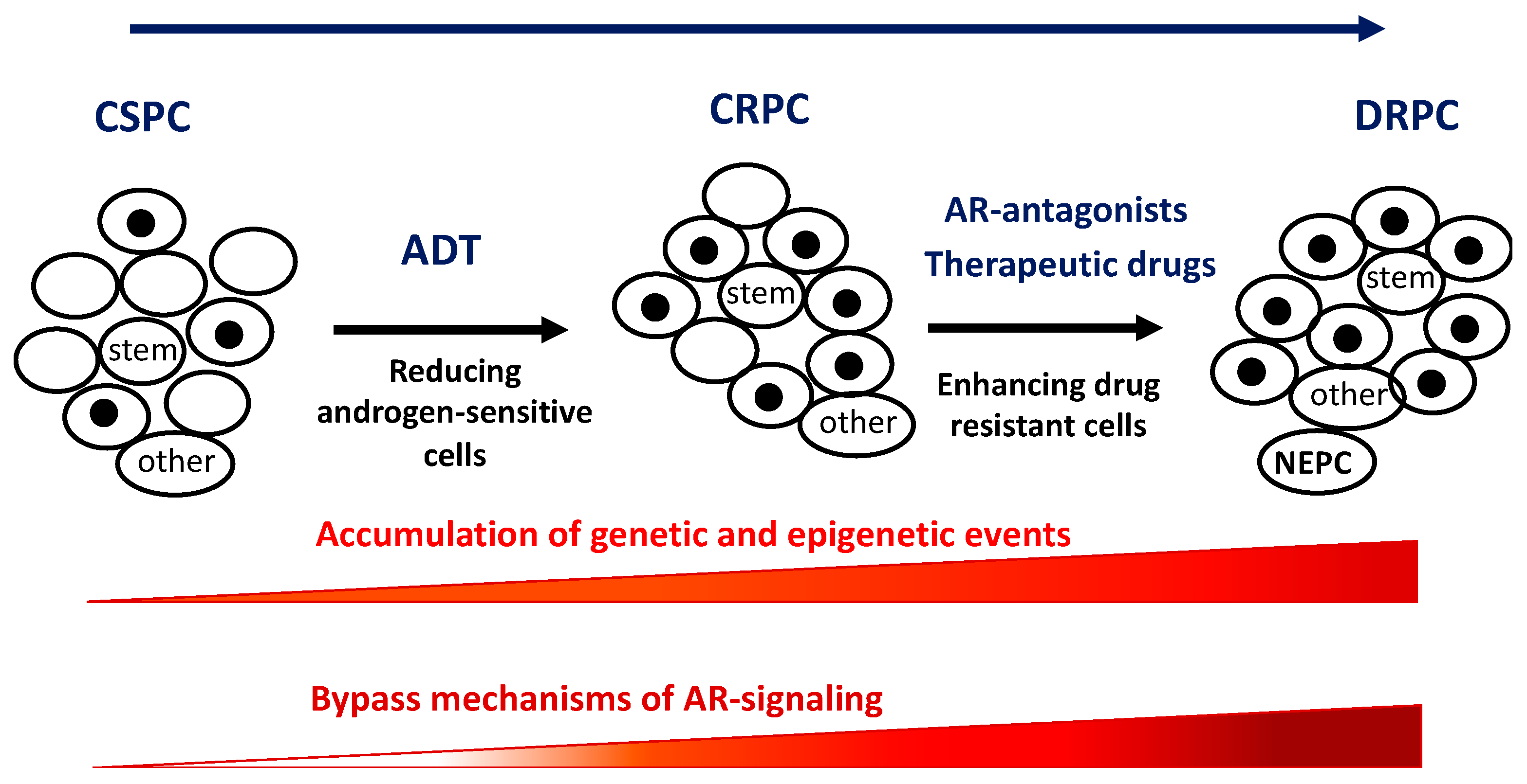 Cancers 13 01534 g001