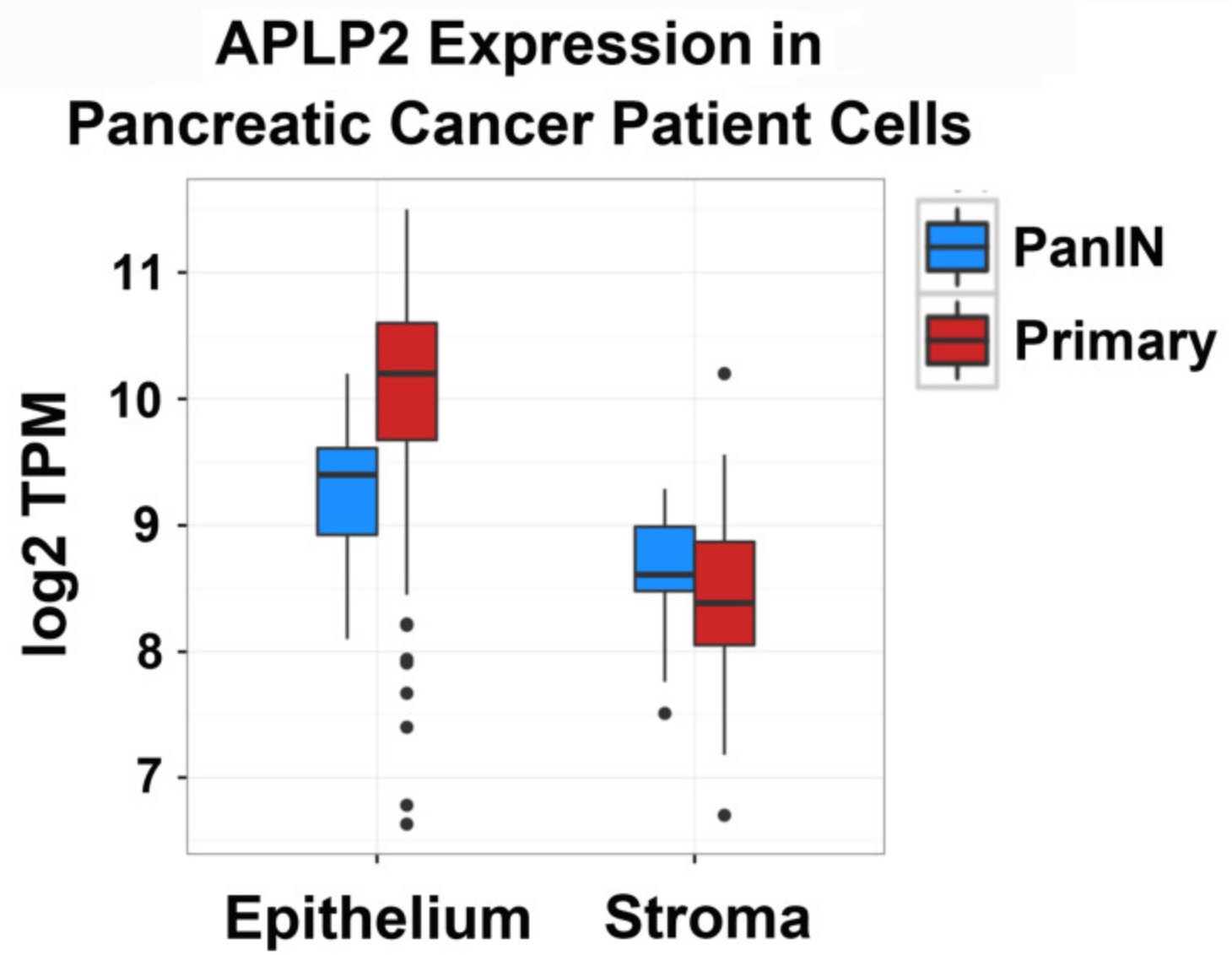 Cancers 13 01535 g001 Cancers 13 01535 g001