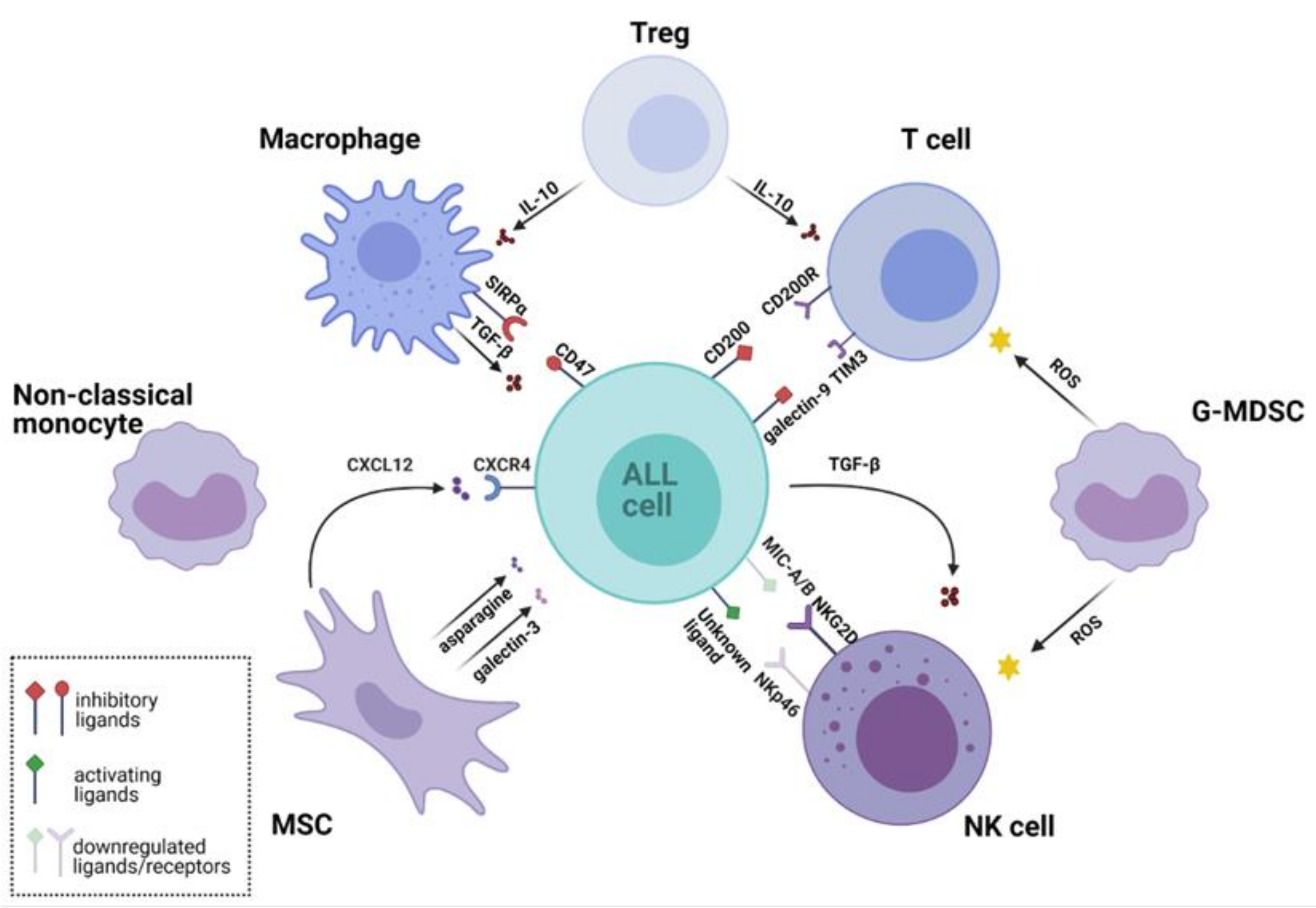Cancers 13 01536 g001