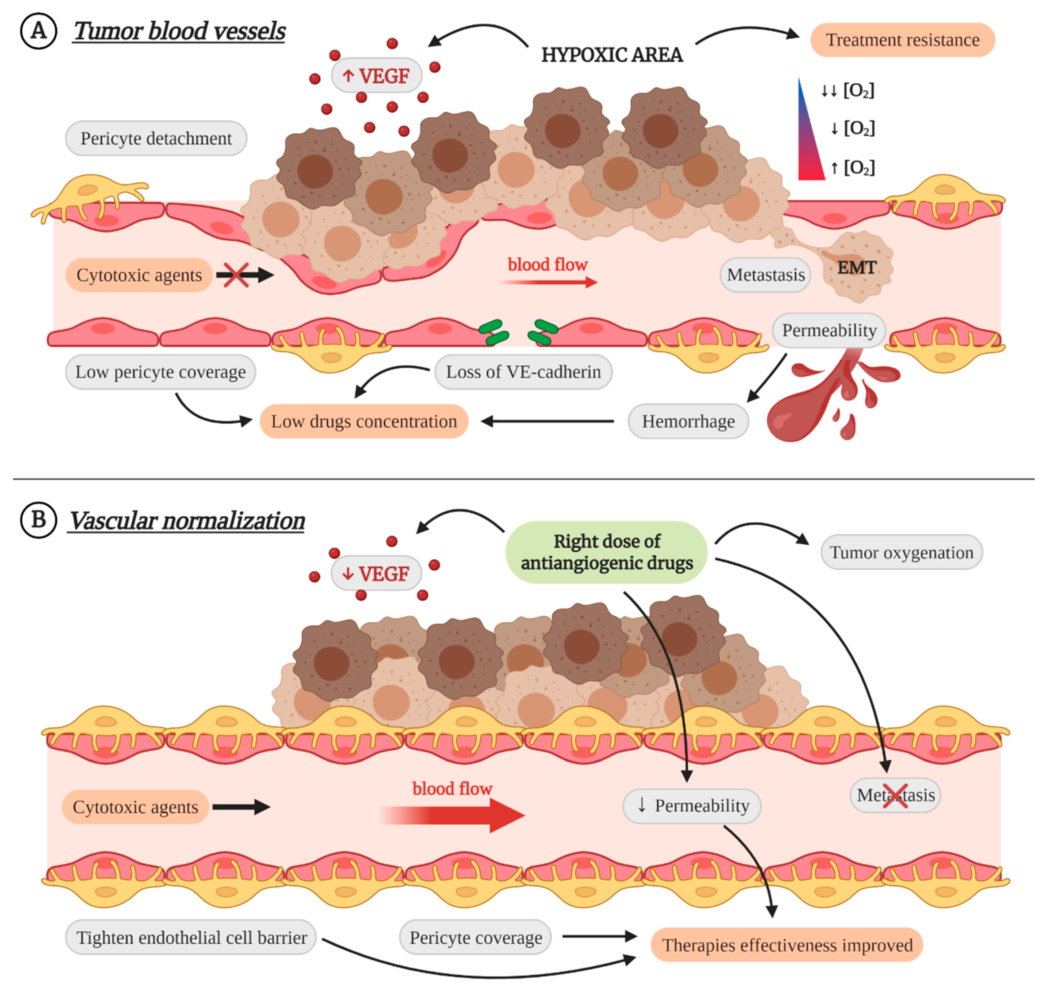 Cancers 13 01552 g003 Cancers 13 01552 g003