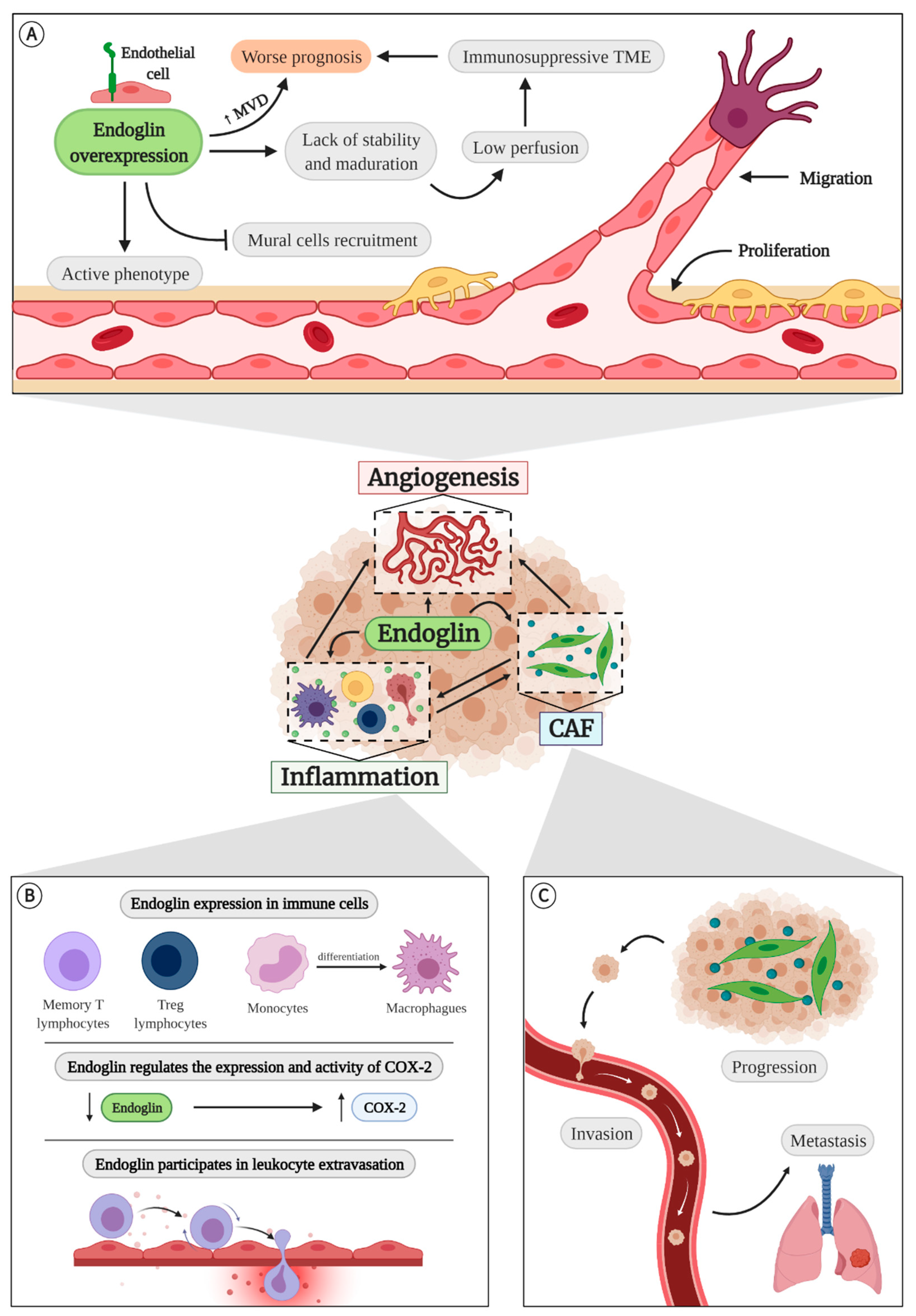 Cancers 13 01552 g004 Cancers 13 01552 g004