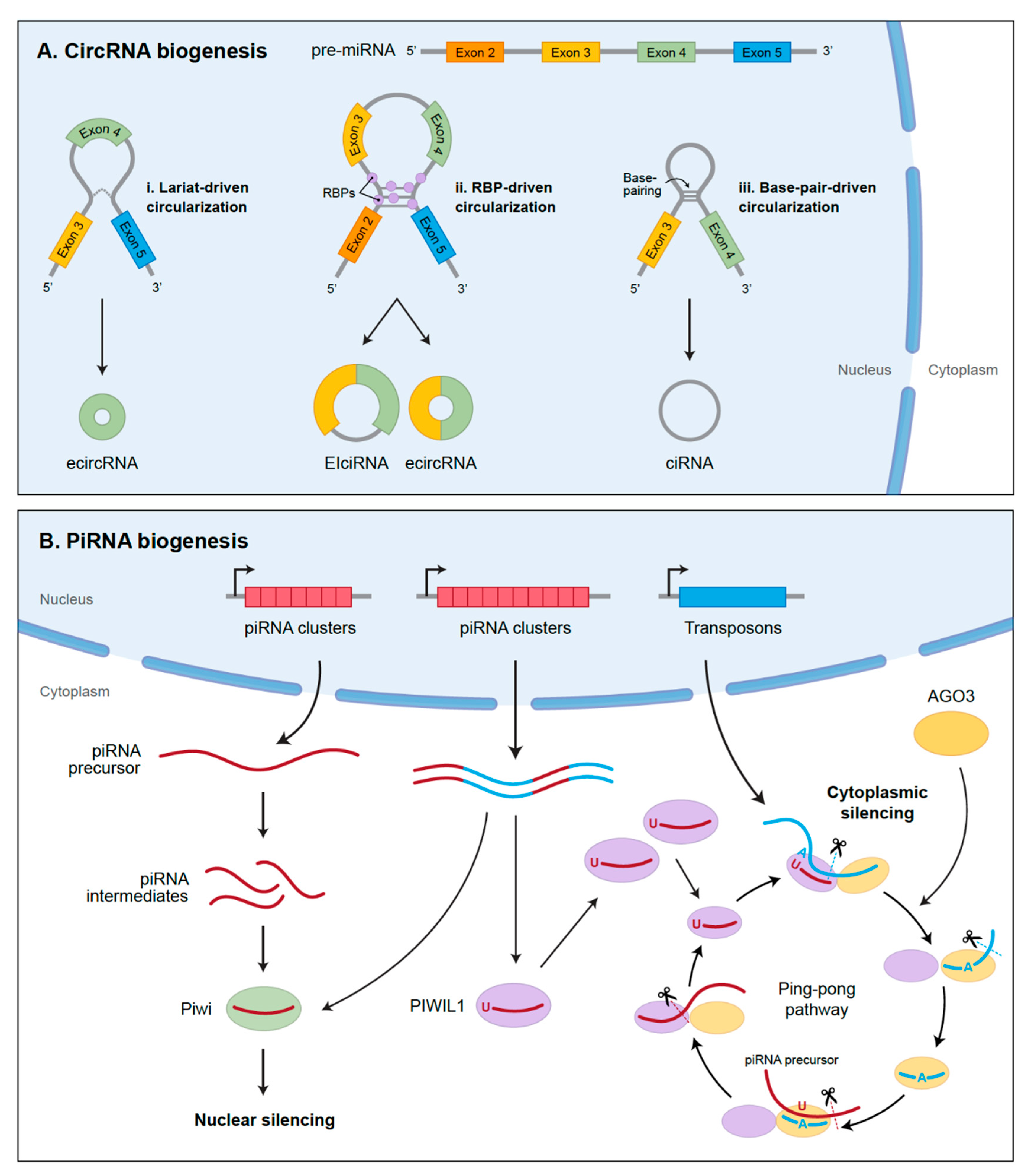 Cancers 13 01555 g004