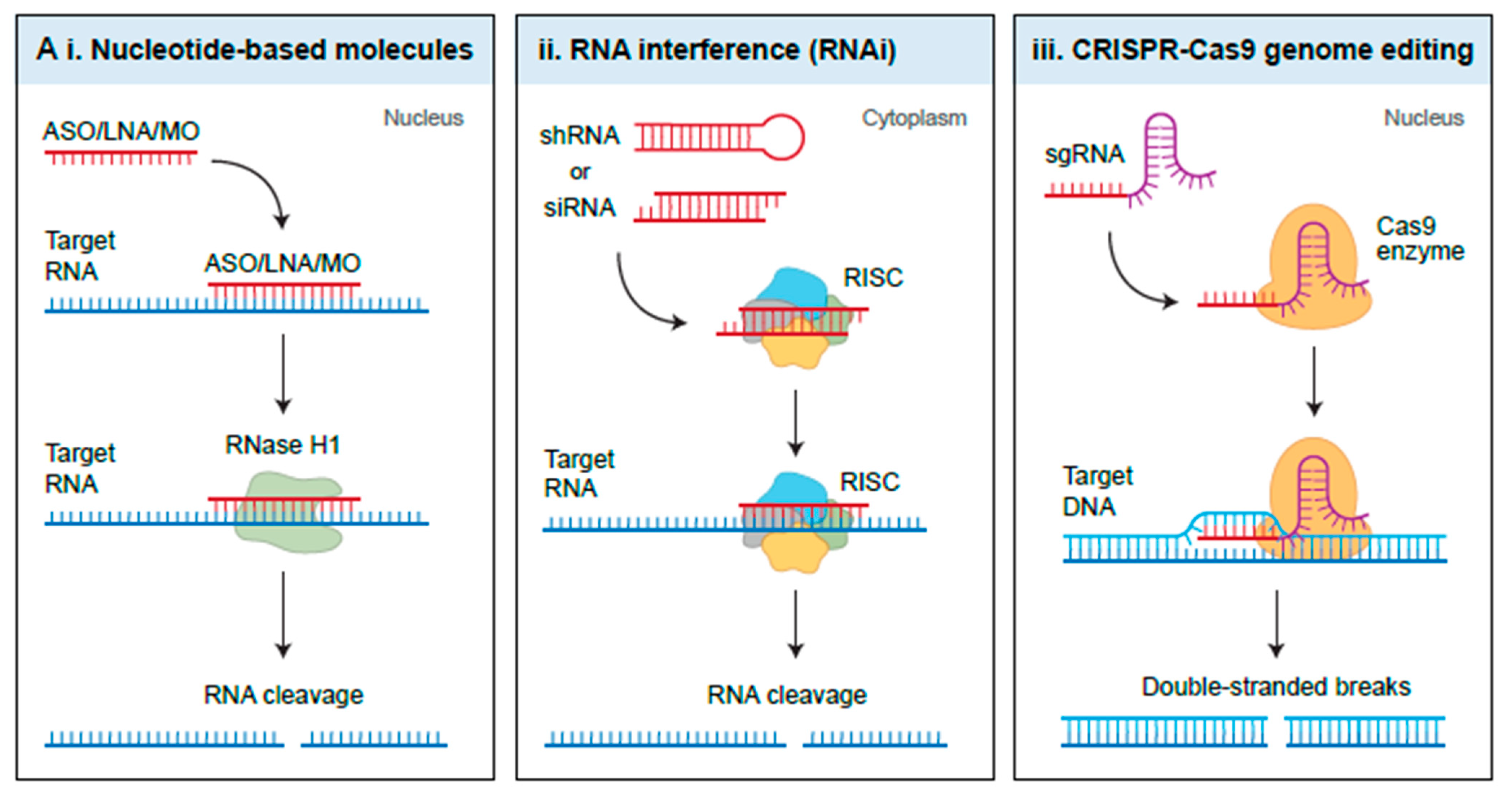 Cancers 13 01555 g005a