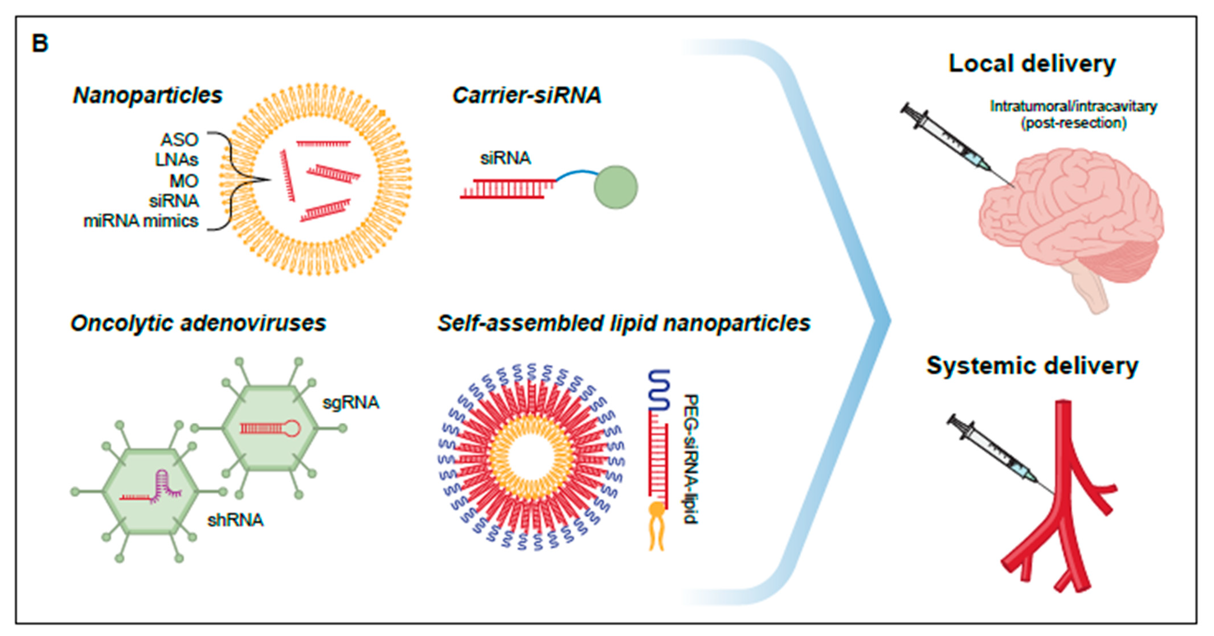 Cancers 13 01555 g005b