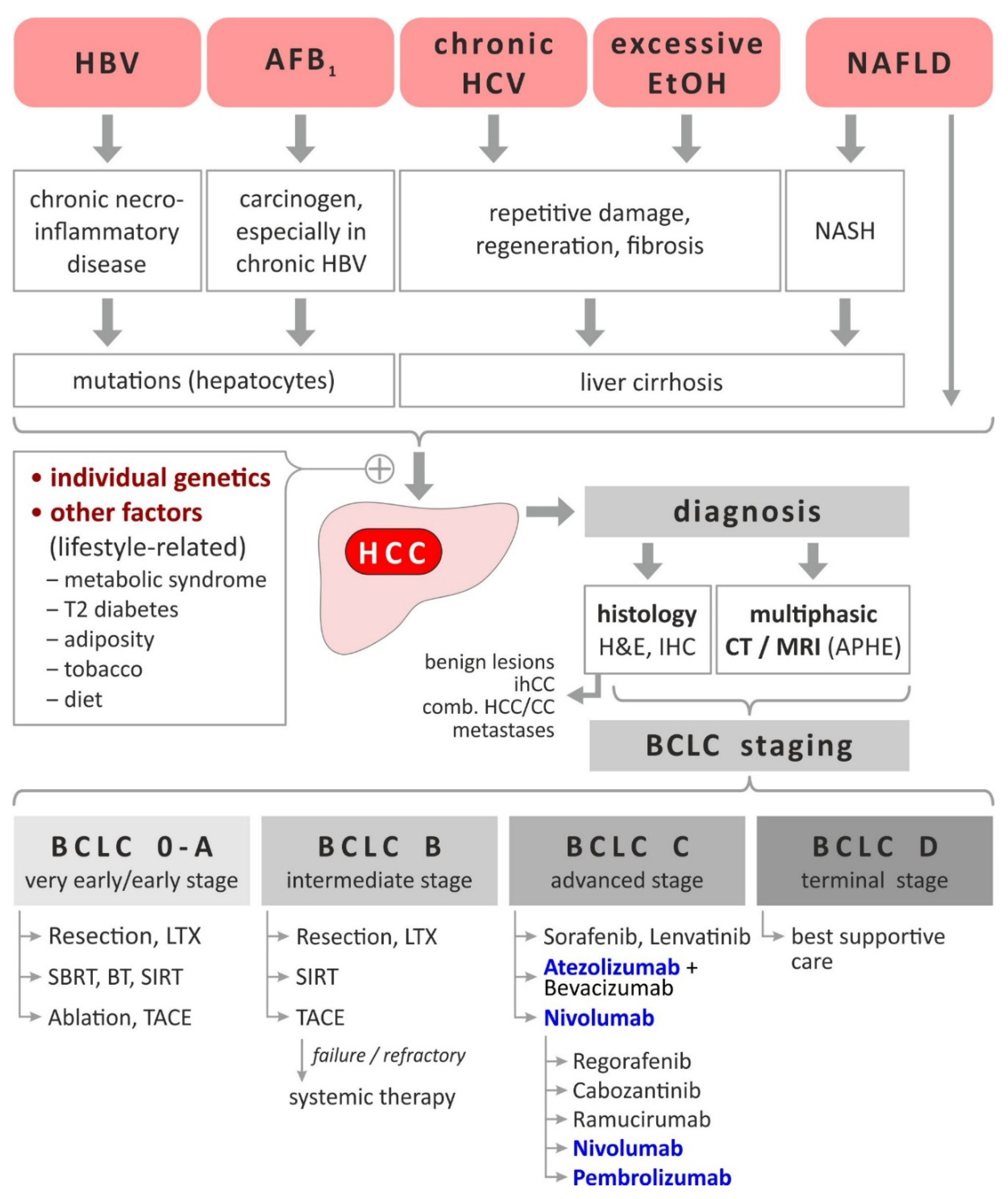 cancers free full text immunmodulatory treatment strategies of hepatocellular carcinoma from checkpoint inhibitors now to an integrated approach in the future html