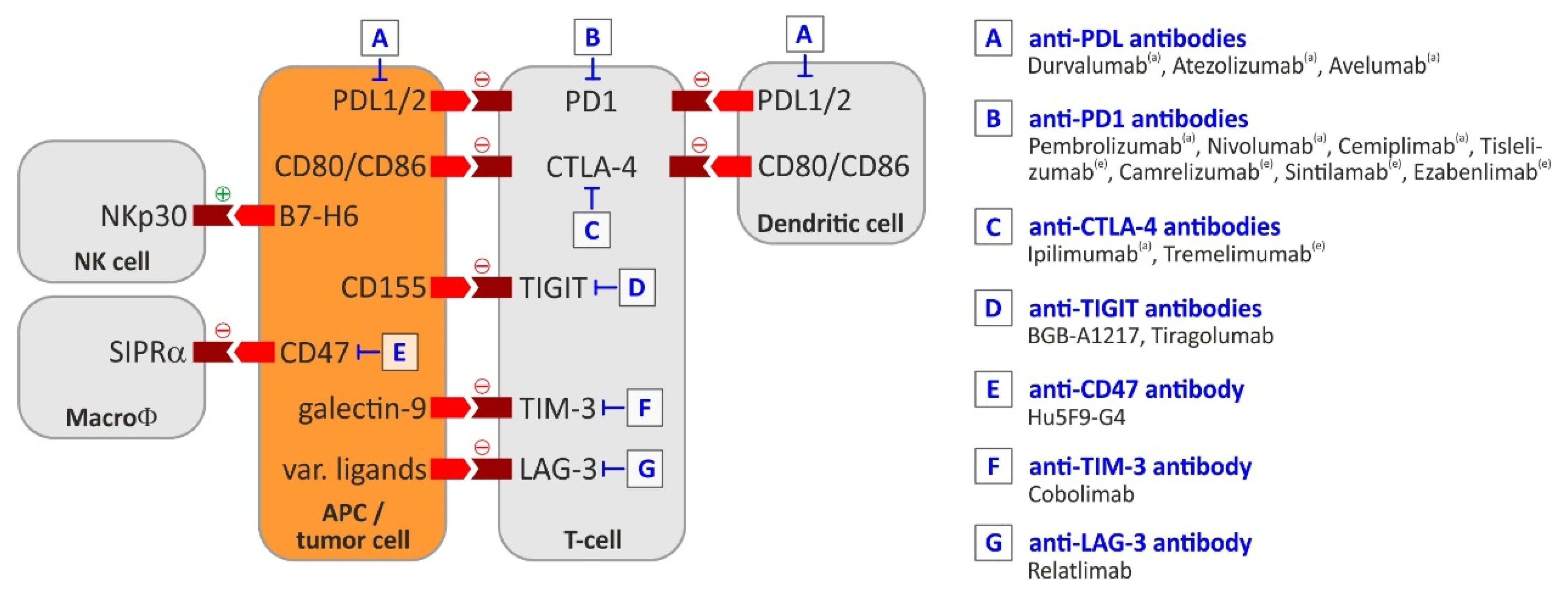 Cancers 13 01558 g002 Cancers 13 01558 g002