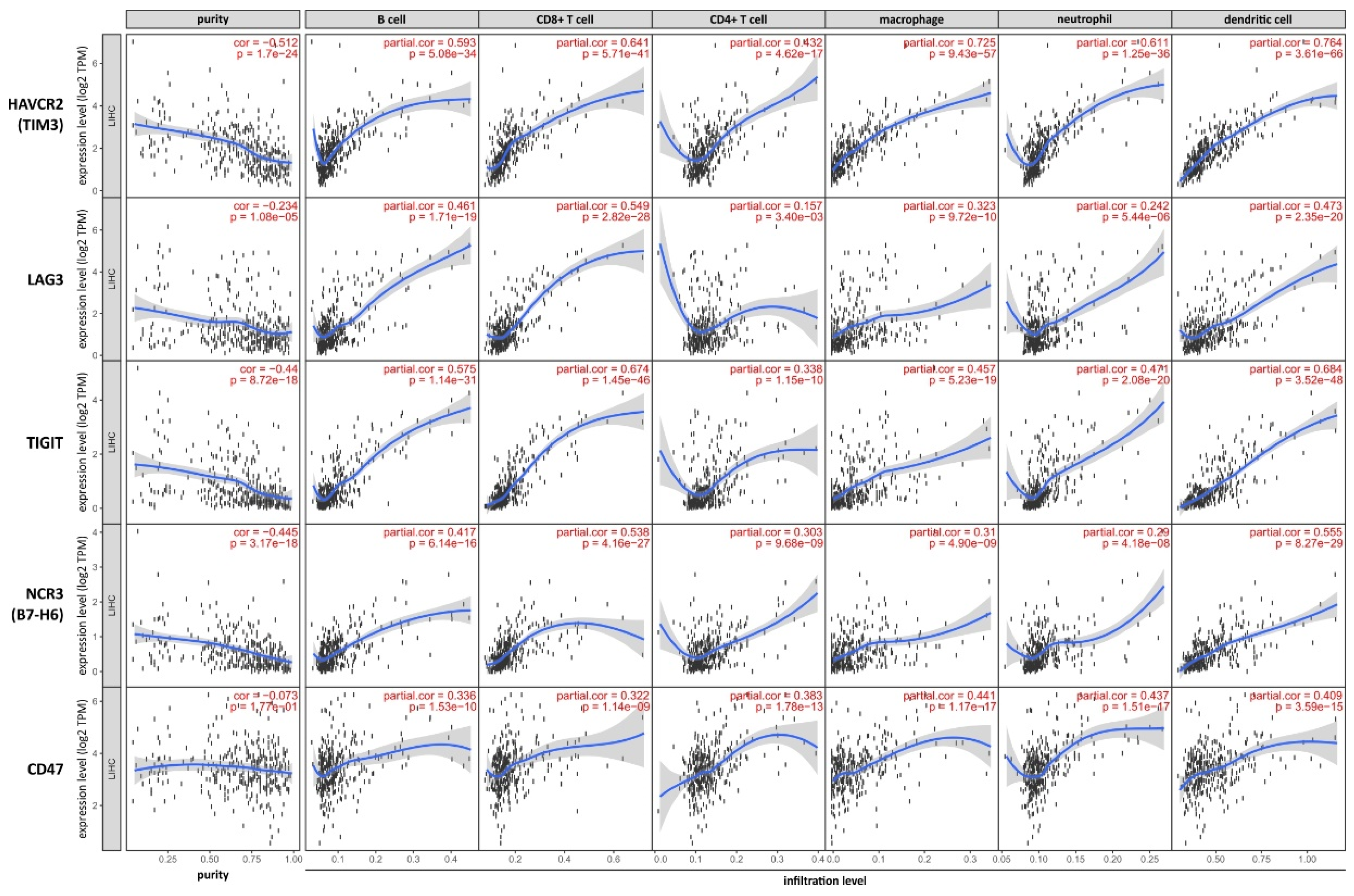 Cancers 13 01558 g004 Cancers 13 01558 g004