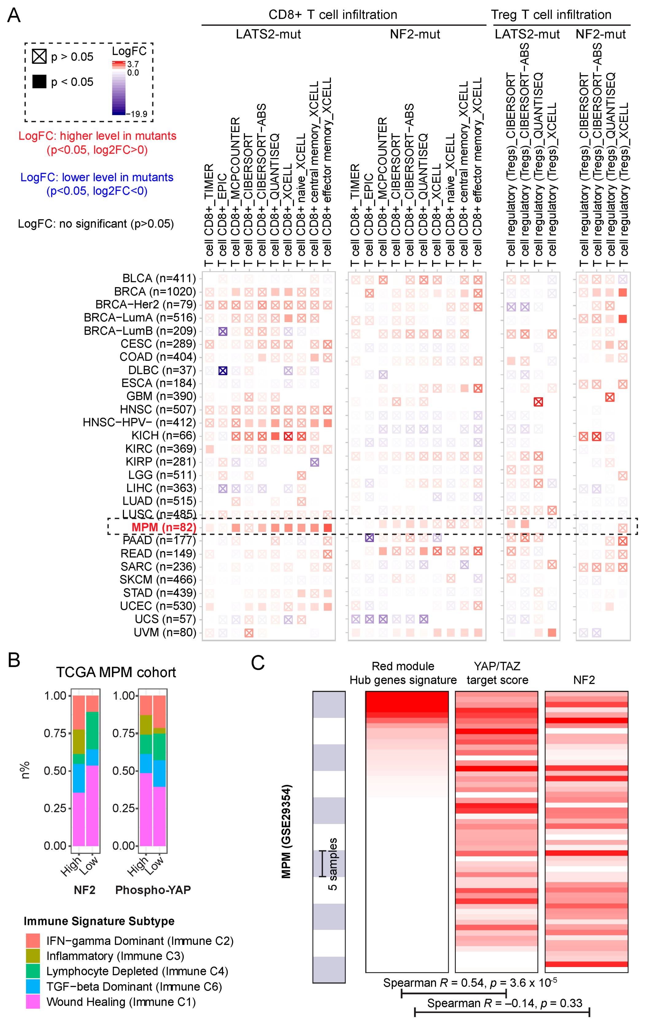 Cancers Free Full Text Nf2 And Canonical Hippo Yap Pathway Define Distinct Tumor Subsets Characterized By Different Immune Deficiency And Treatment Implications In Human Pleural Mesothelioma Html Cancers Free Full Text Nf2 And Canonical Hippo Yap Pathway Define Distinct Tumor Subsets Characterized By Different Immune Deficiency And Treatment Implications In Human Pleural Mesothelioma Html