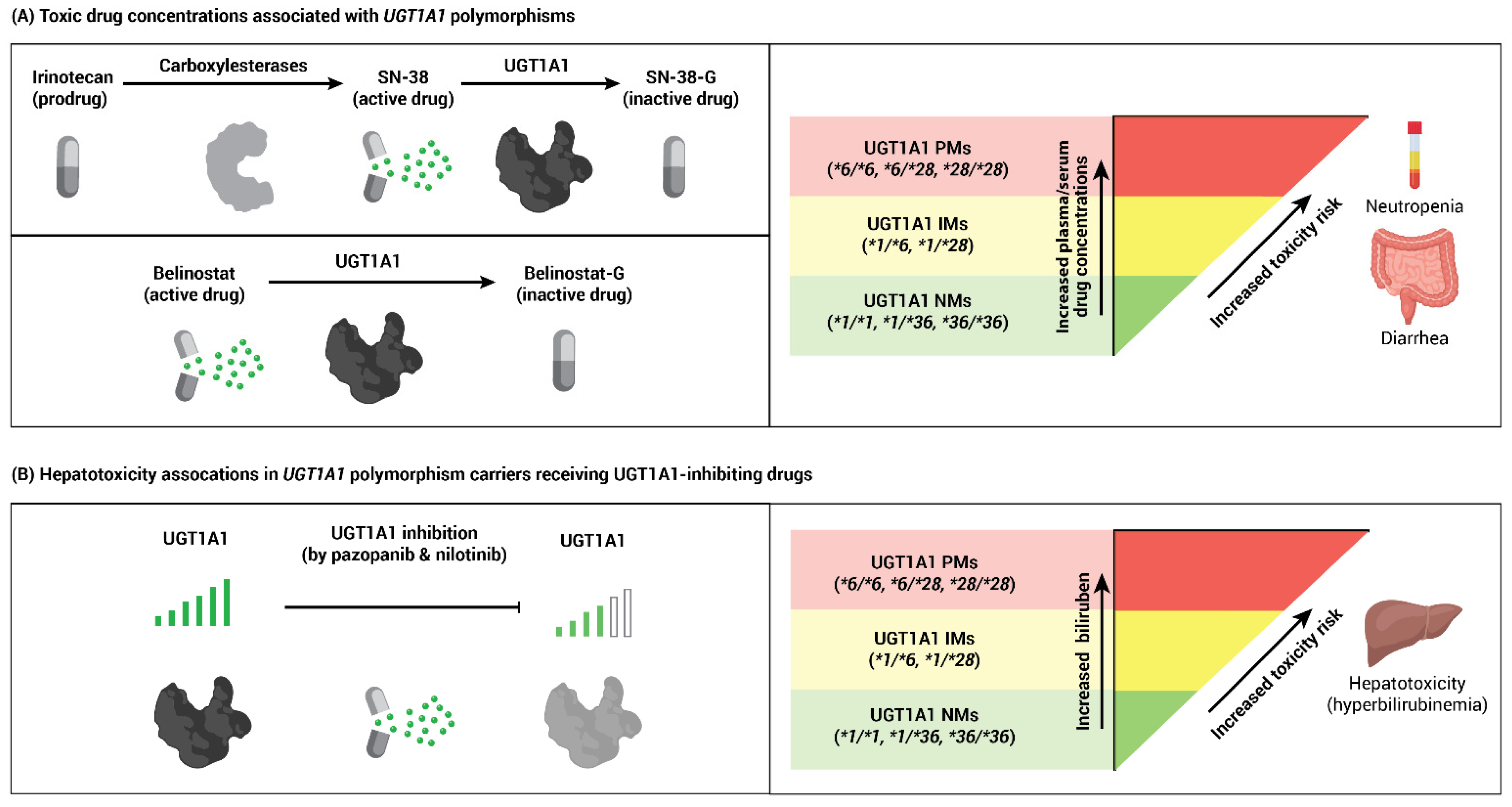 Cancers 13 01566 g001 Cancers 13 01566 g001