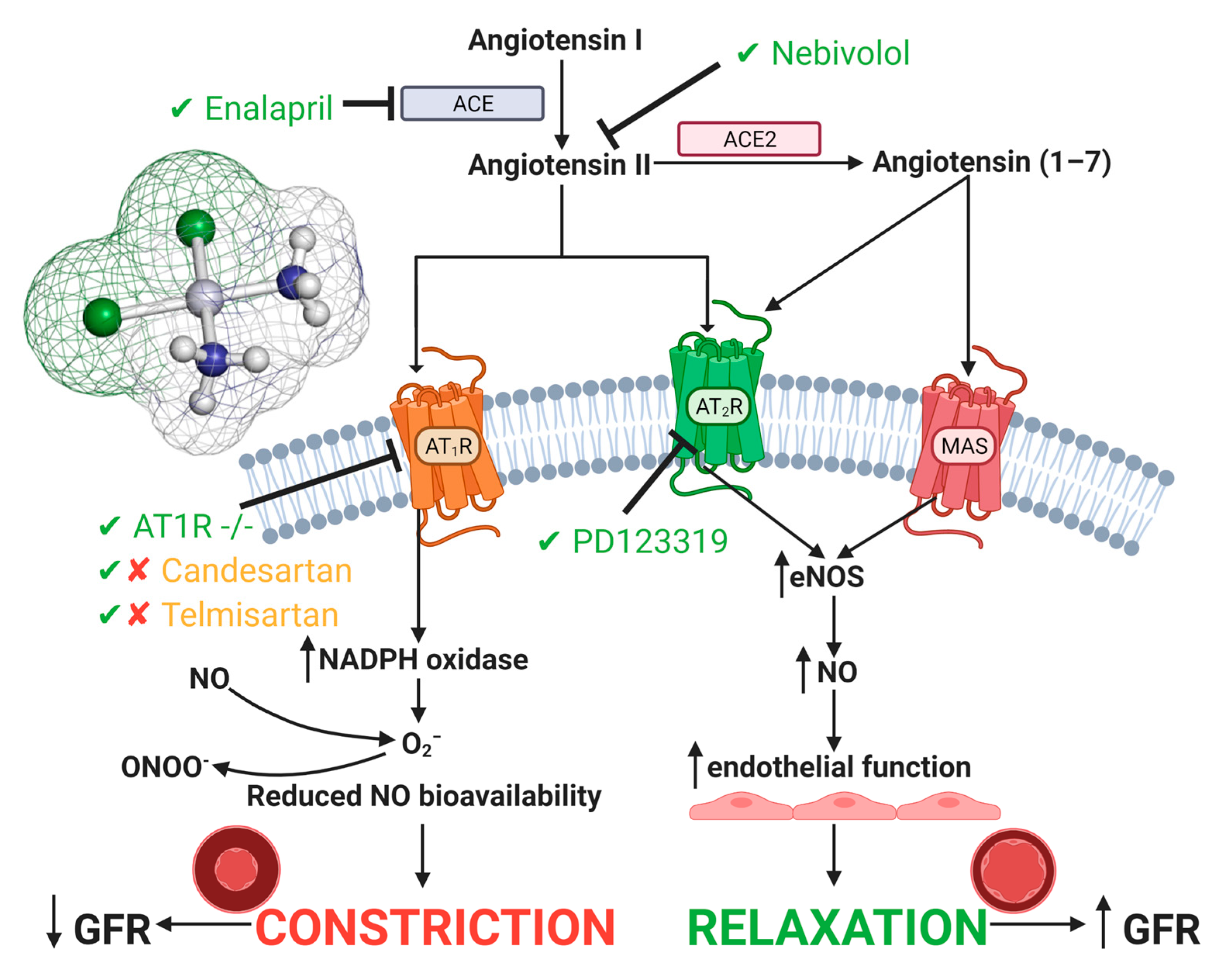 Cancers 13 01572 g003 Cancers 13 01572 g003