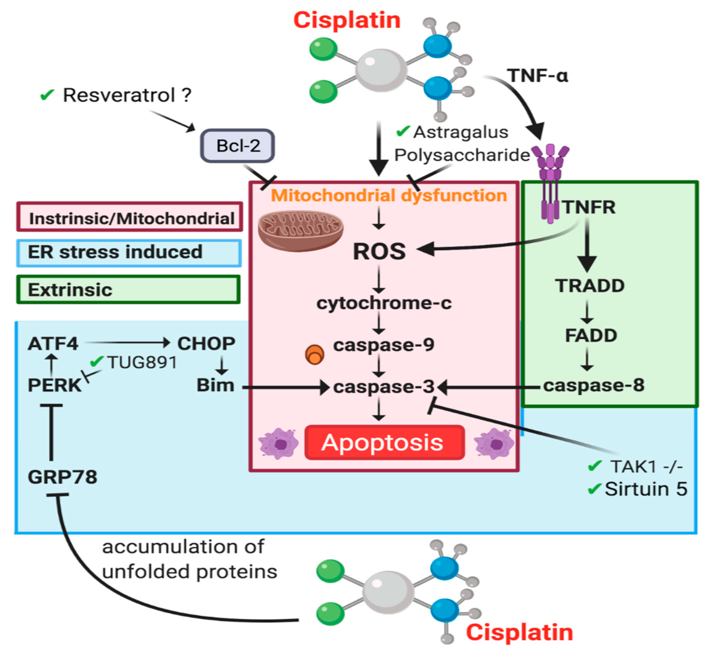 Cancers 13 01572 g004 Cancers 13 01572 g004