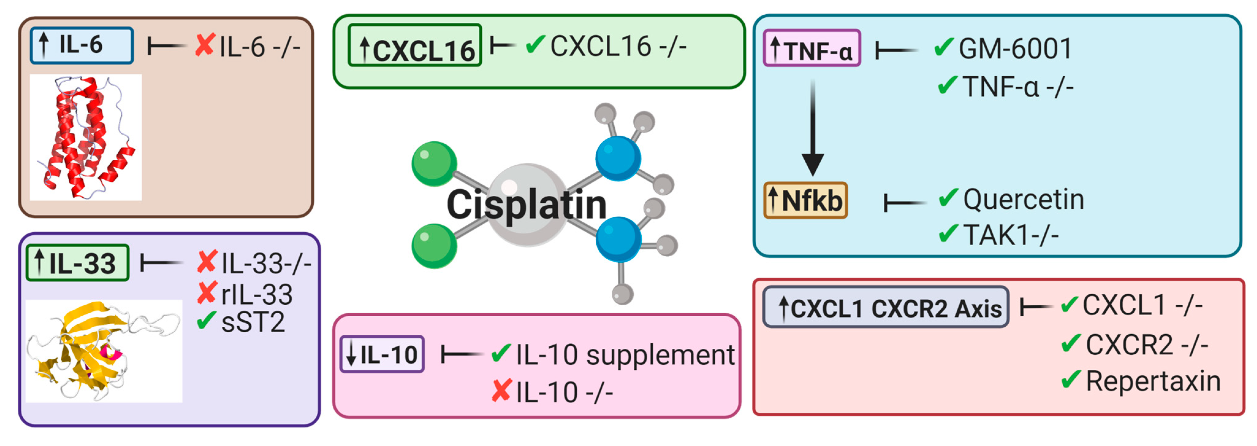 Cancers 13 01572 g005 Cancers 13 01572 g005