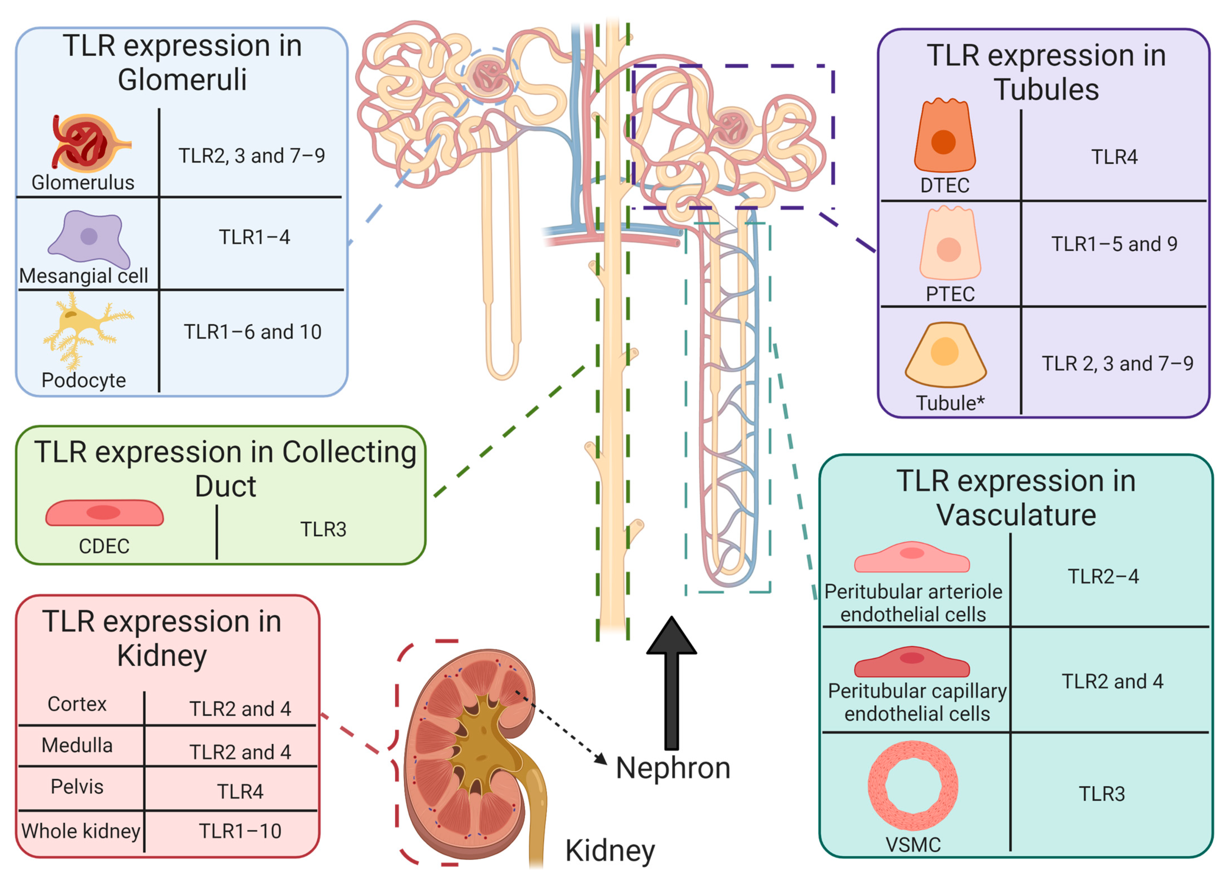Cancers 13 01572 g006 Cancers 13 01572 g006