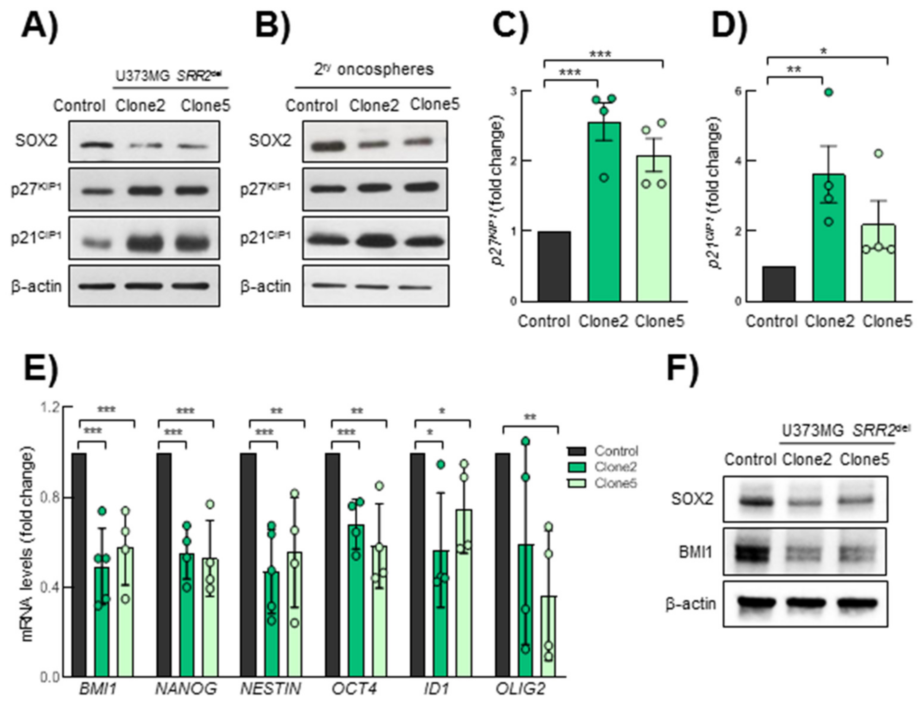 Cancers 13 01574 g005 Cancers 13 01574 g005