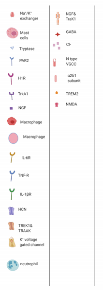 Cancers 13 01576 i002