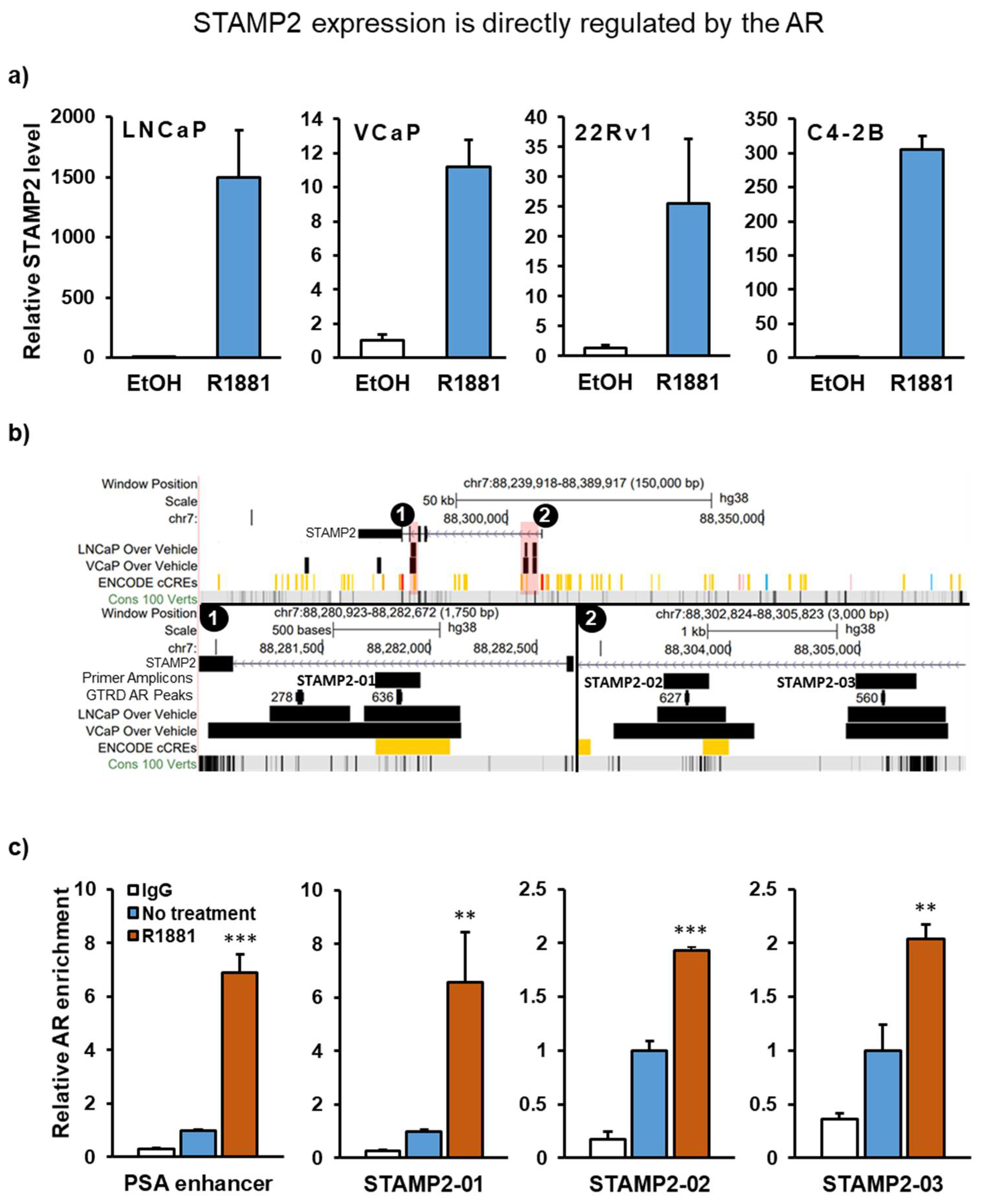 Cancers 13 01579 g001 Cancers 13 01579 g001