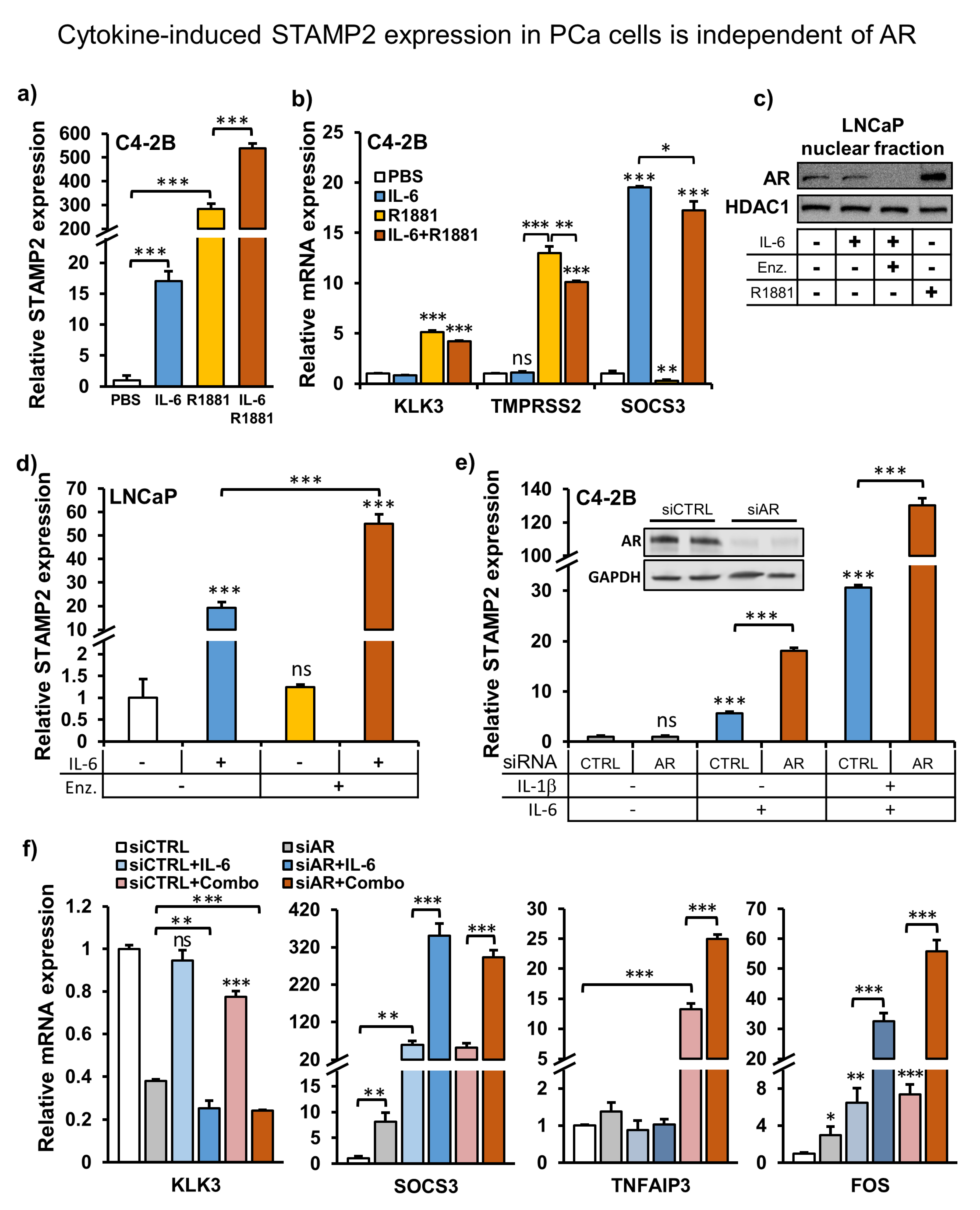 Cancers 13 01579 g003 Cancers 13 01579 g003