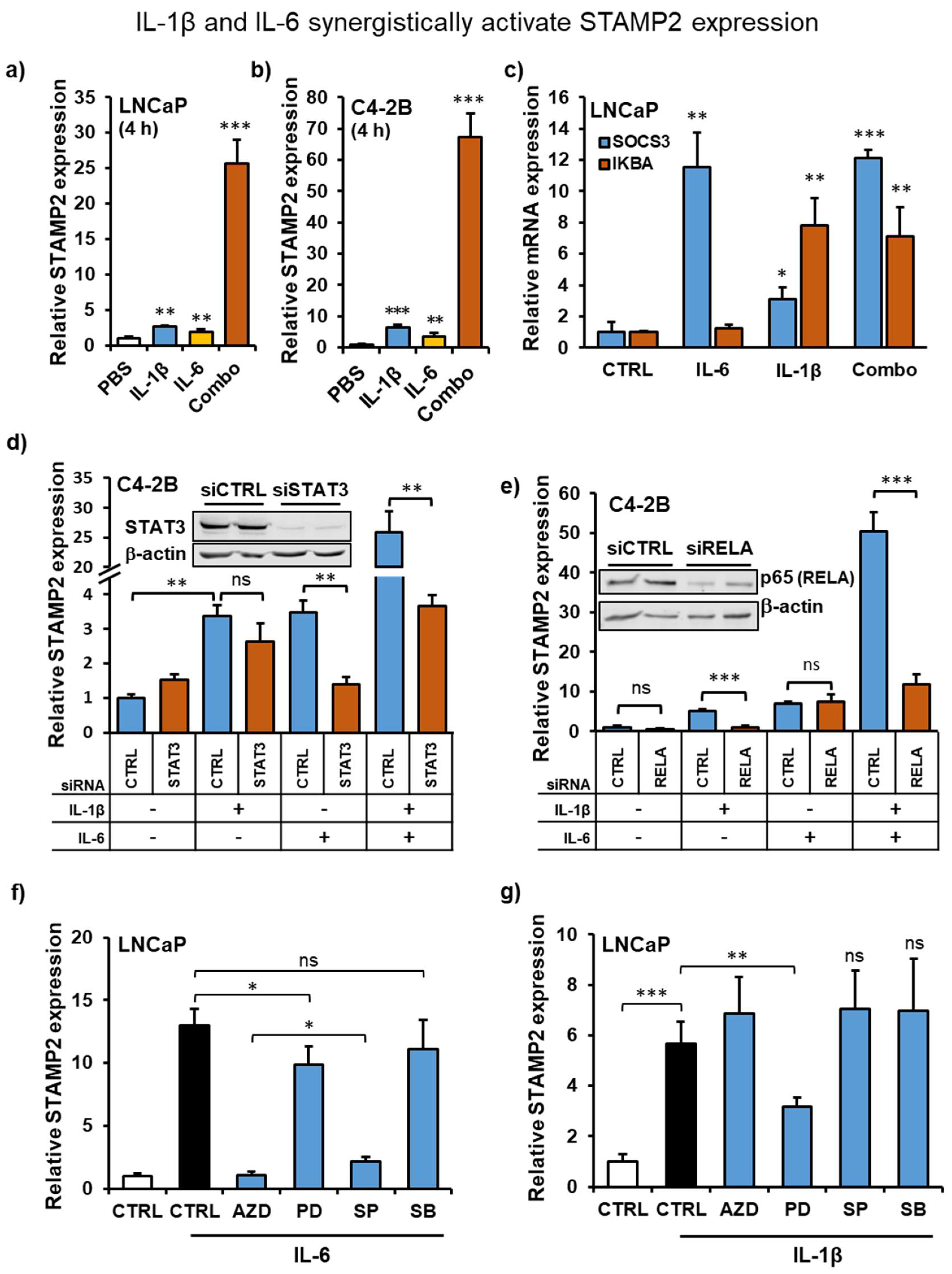 Cancers 13 01579 g004 Cancers 13 01579 g004