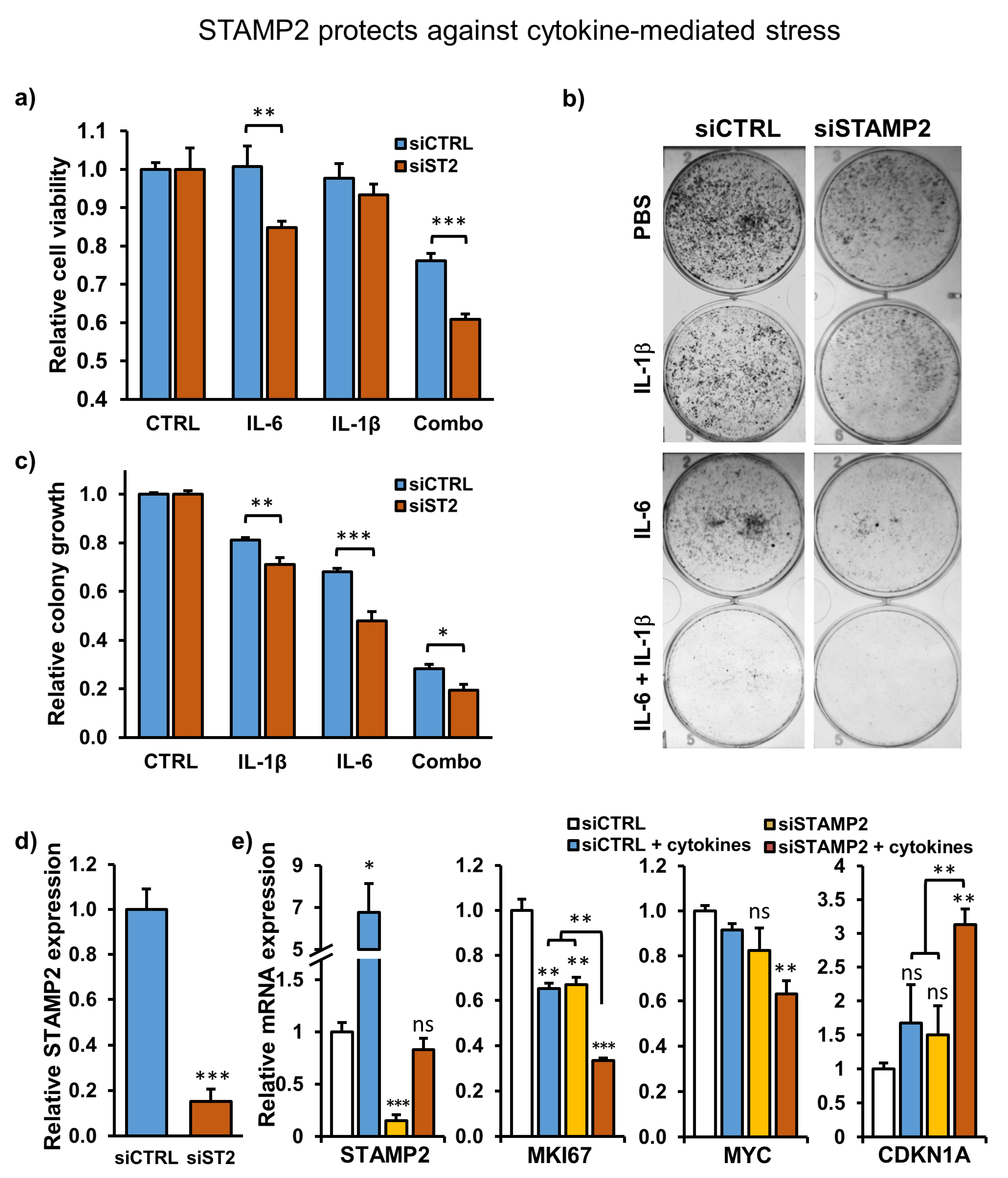 Cancers 13 01579 g005 Cancers 13 01579 g005
