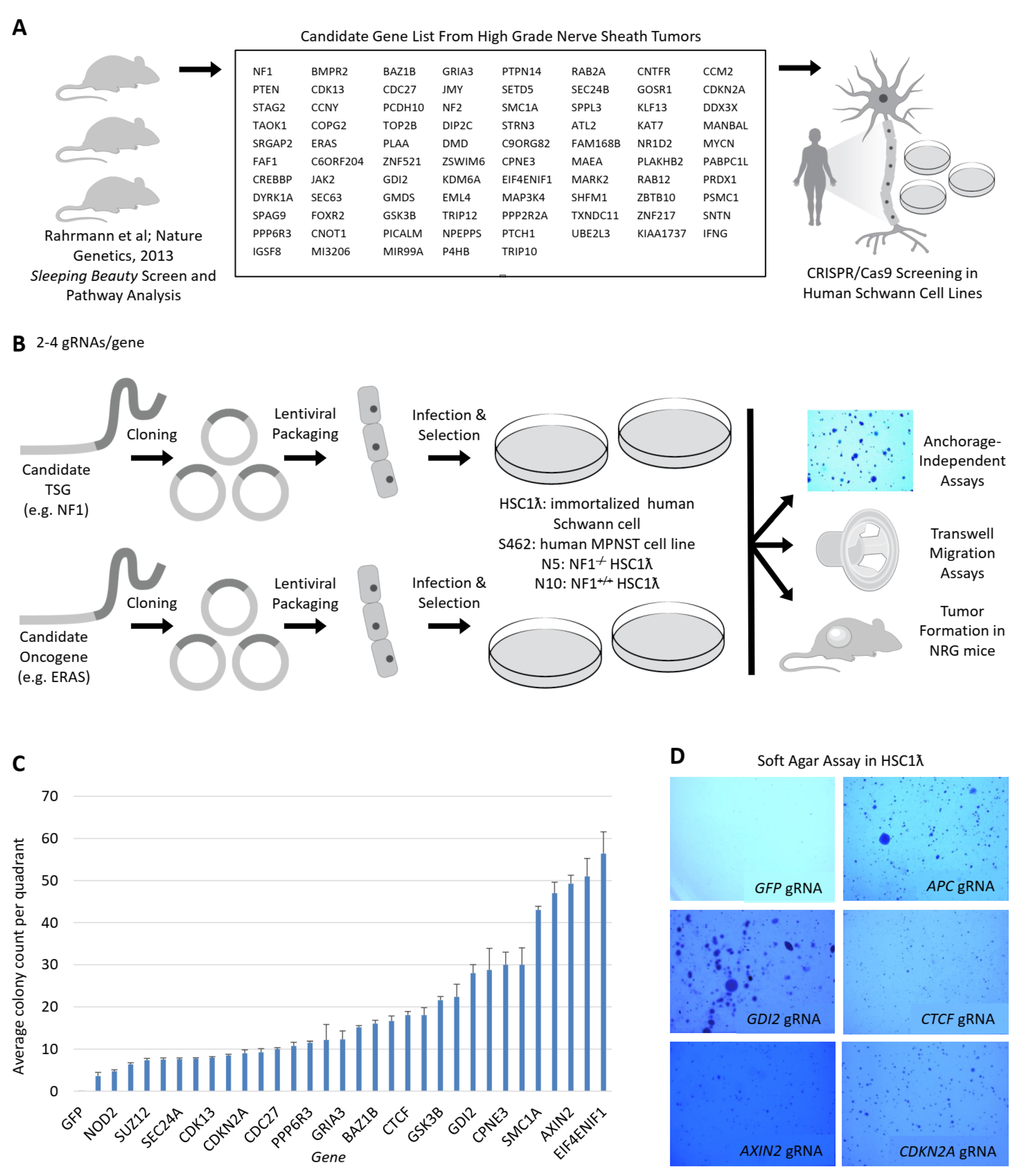 Cancers 13 01584 g001 Cancers 13 01584 g001