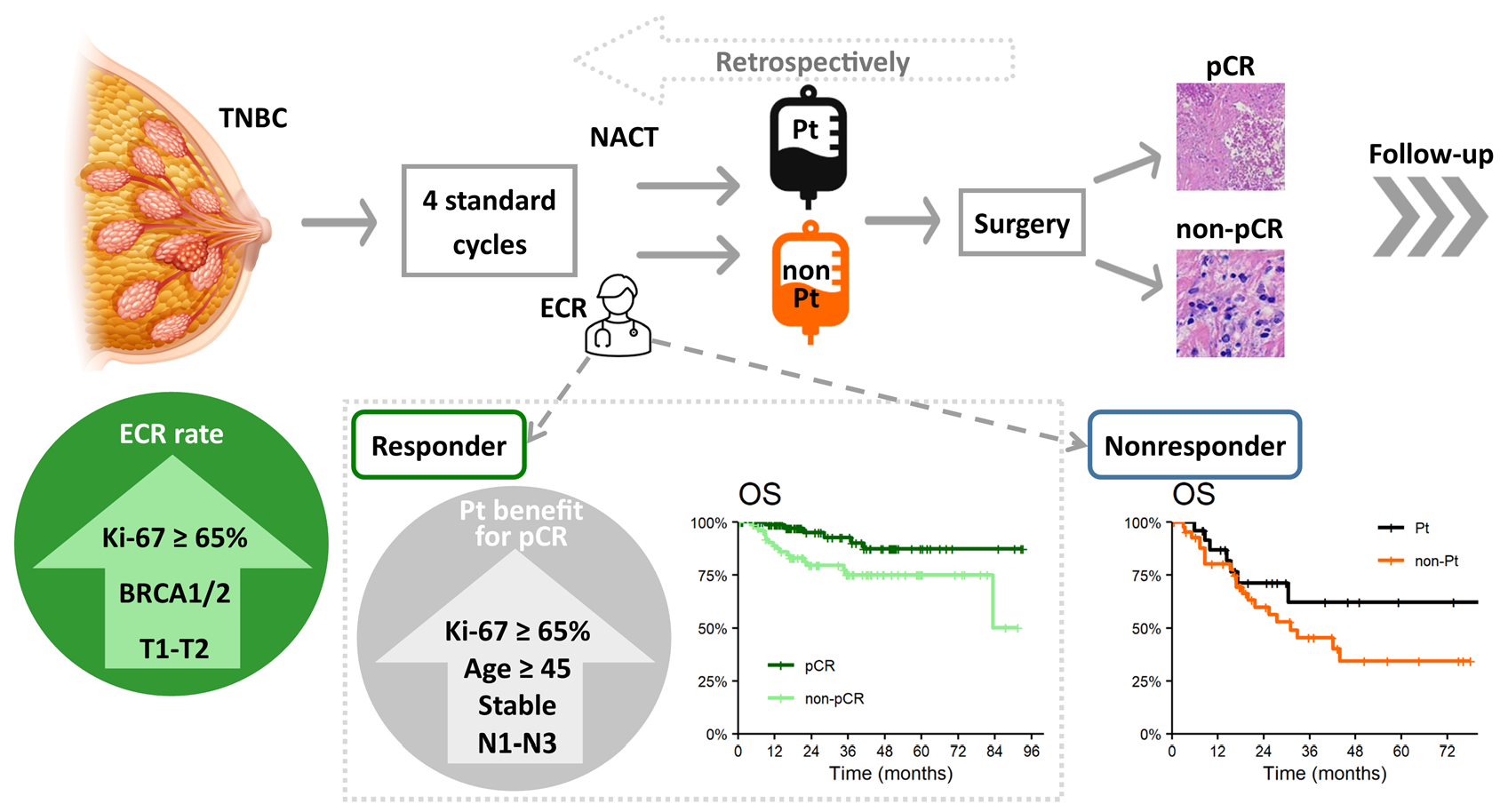 Cancers Free FullText Neoadjuvant Chemotherapy of TripleNegative