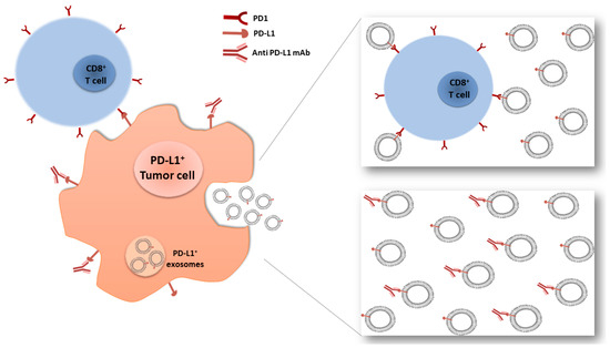 miRNAs and lncRNAs as Novel Therapeutic Targets to Improve