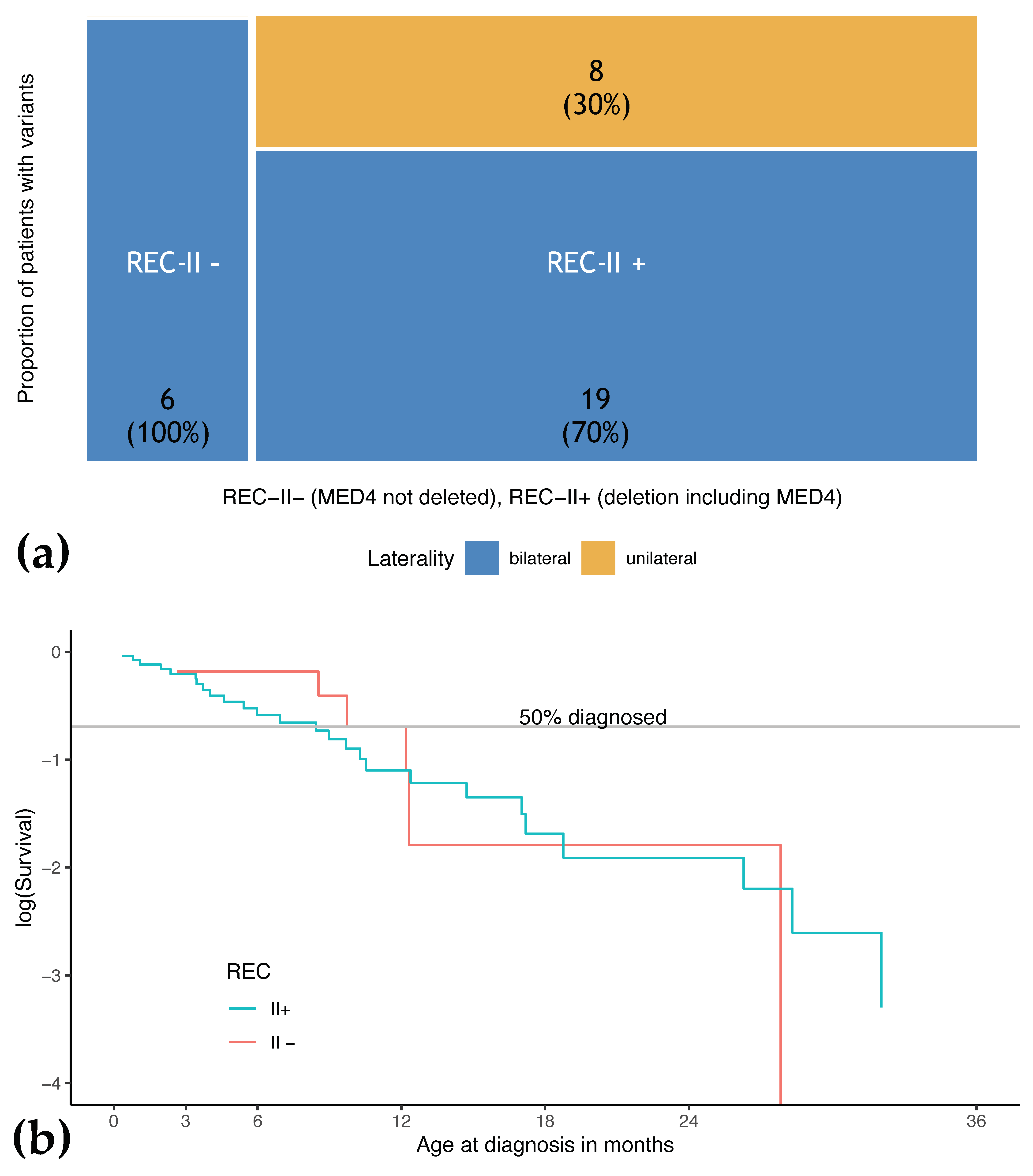 Cancers 13 01605 g004 Cancers 13 01605 g004