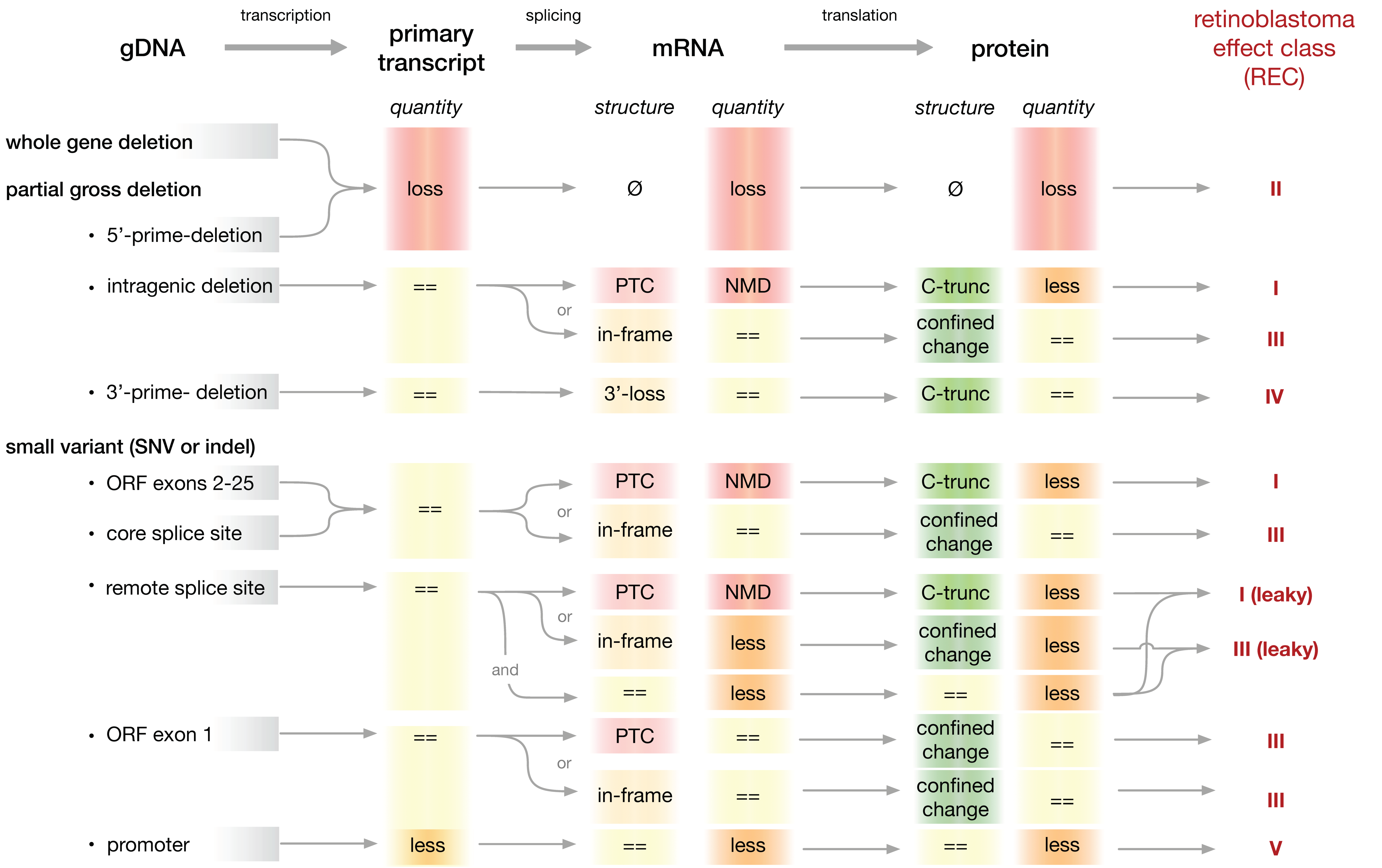 Cancers 13 01605 g0a2 Cancers 13 01605 g0a2