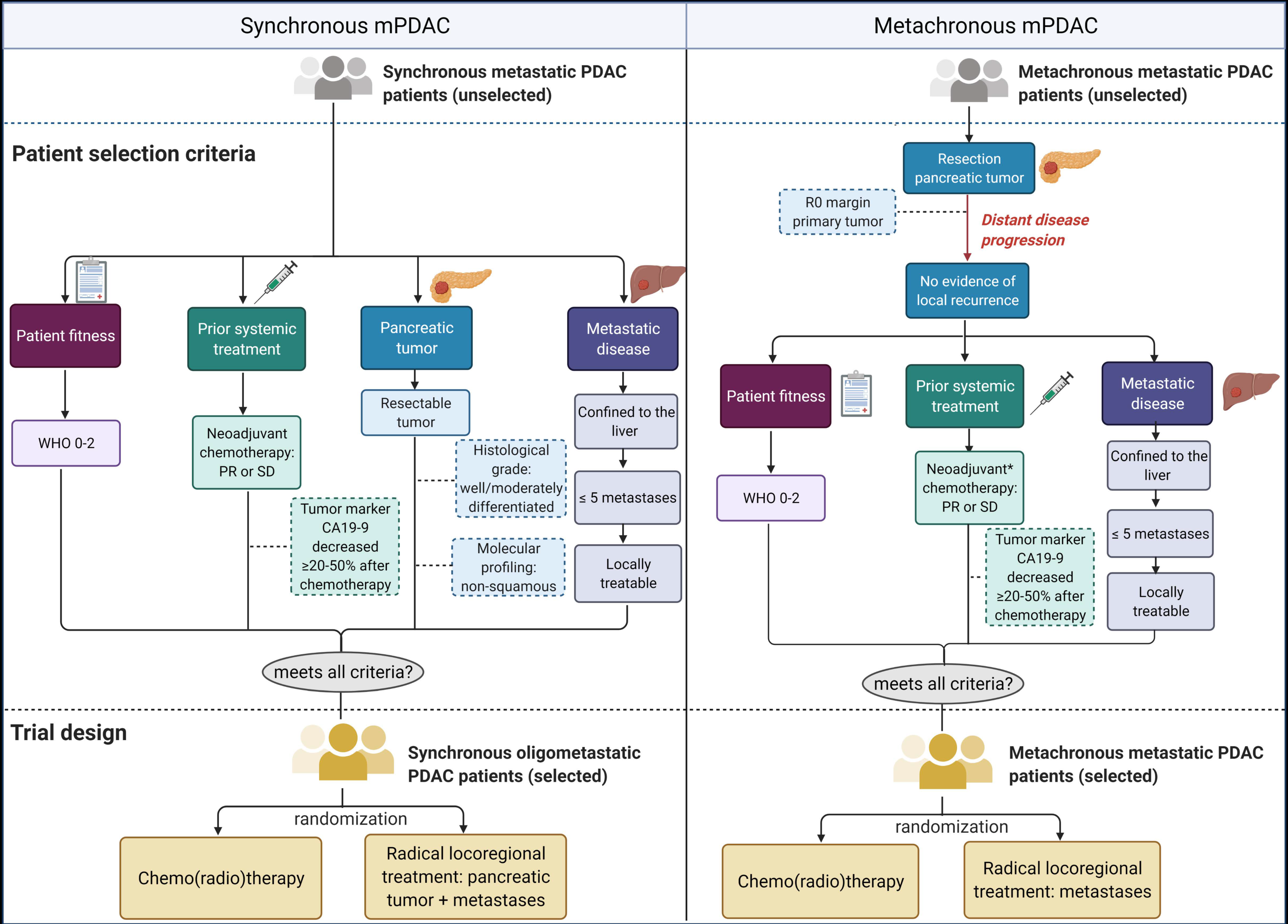 Cancers 13 01608 g002