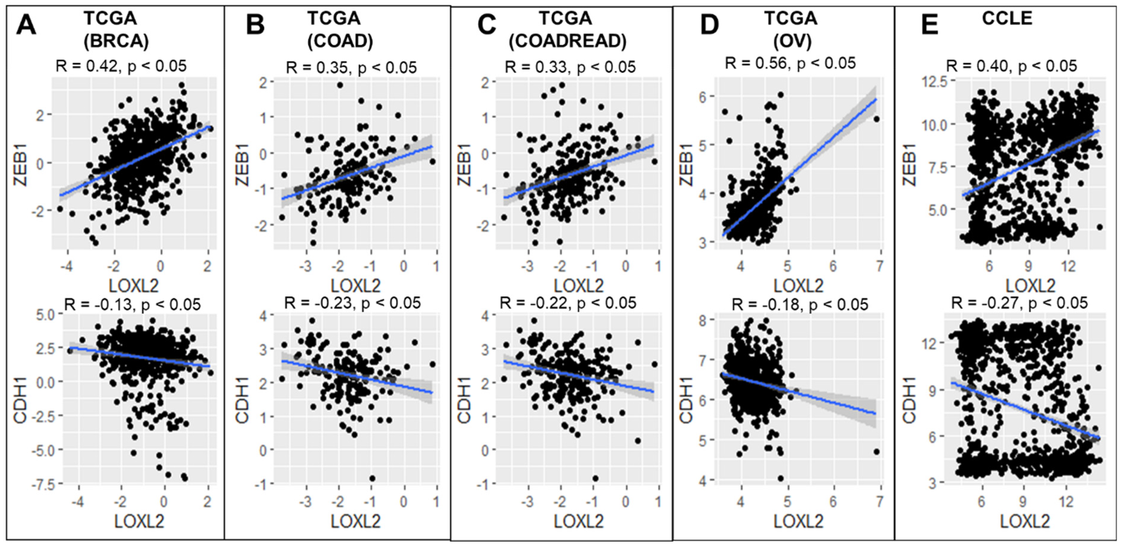 Cancers 13 01609 g001