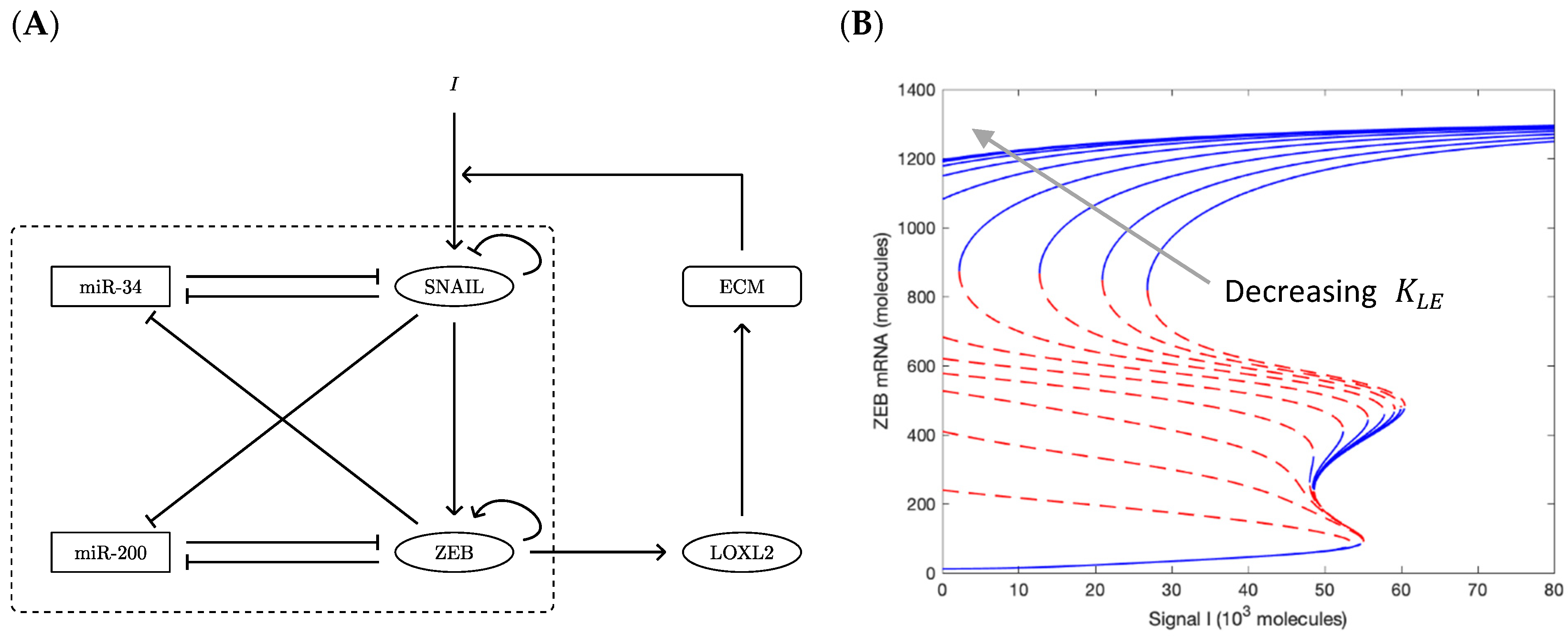 Cancers 13 01609 g004