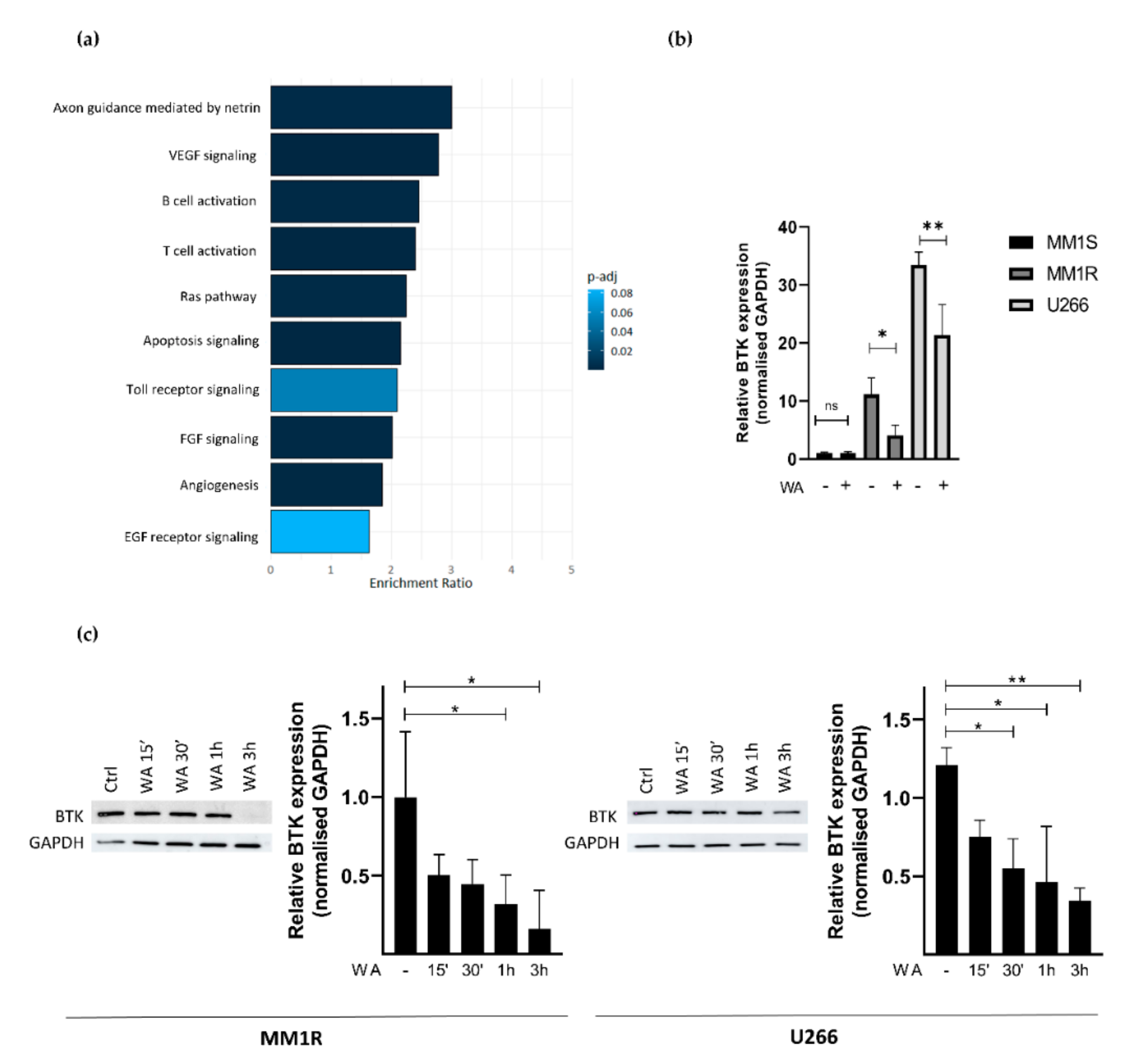 Cancers 13 01618 g003 Cancers 13 01618 g003