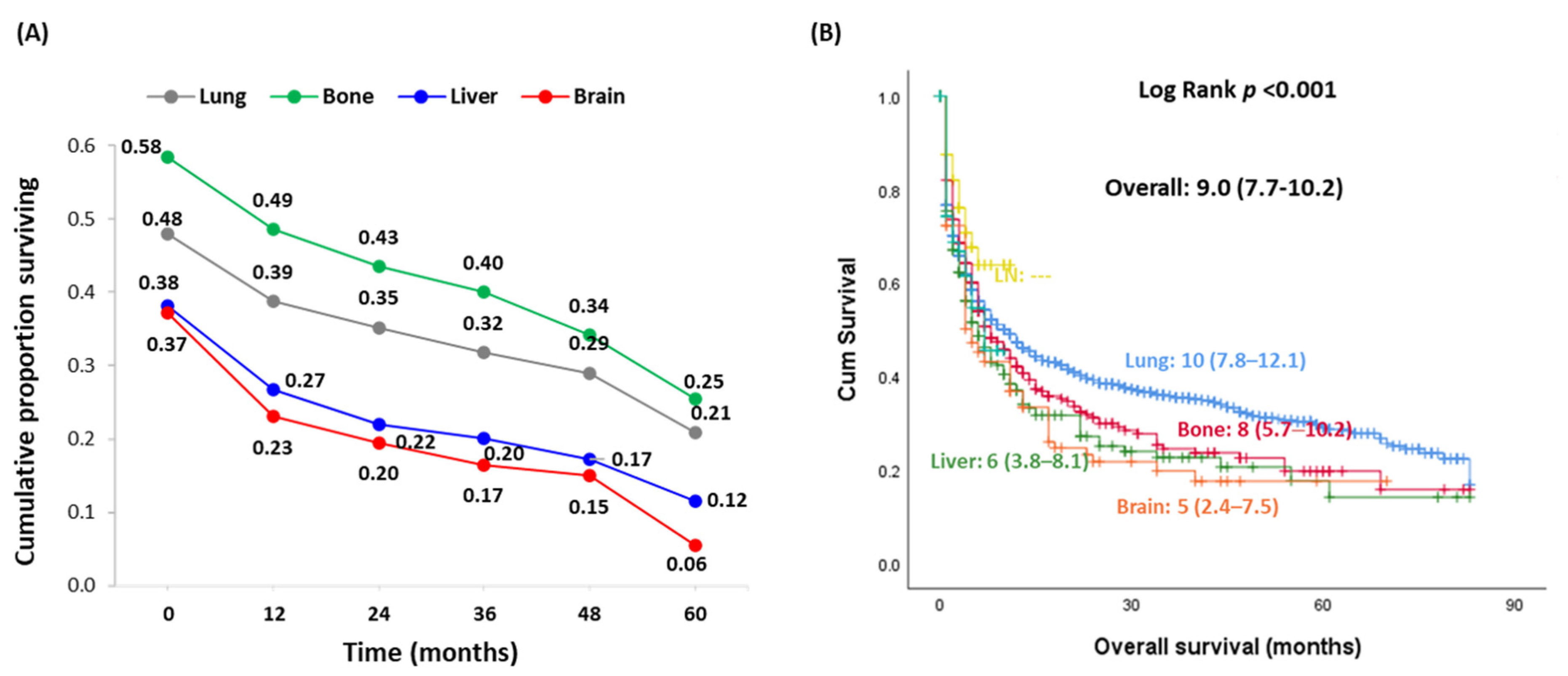 Cancers 13 01625 g003 Cancers 13 01625 g003