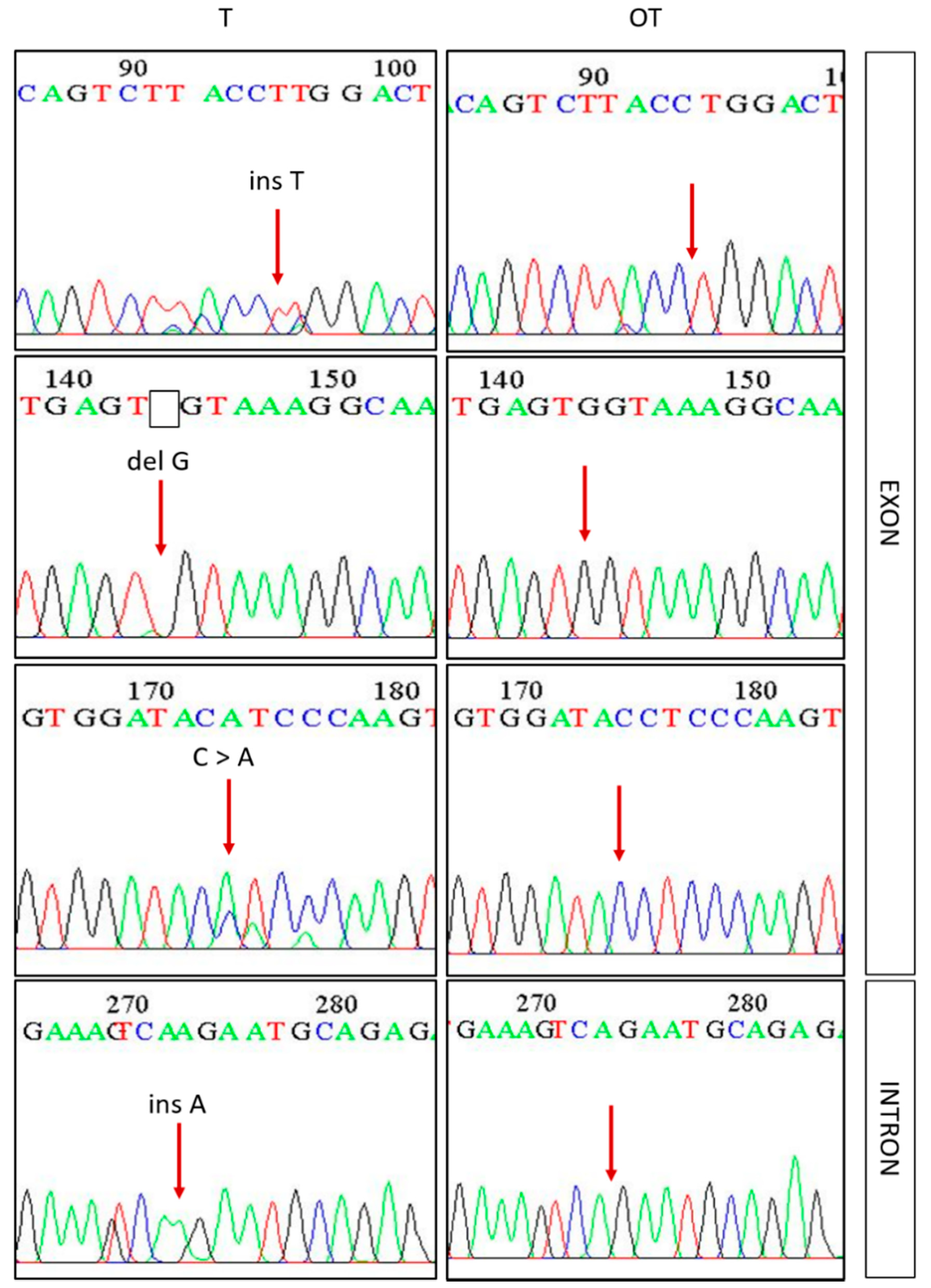 Cancers 13 01633 g003