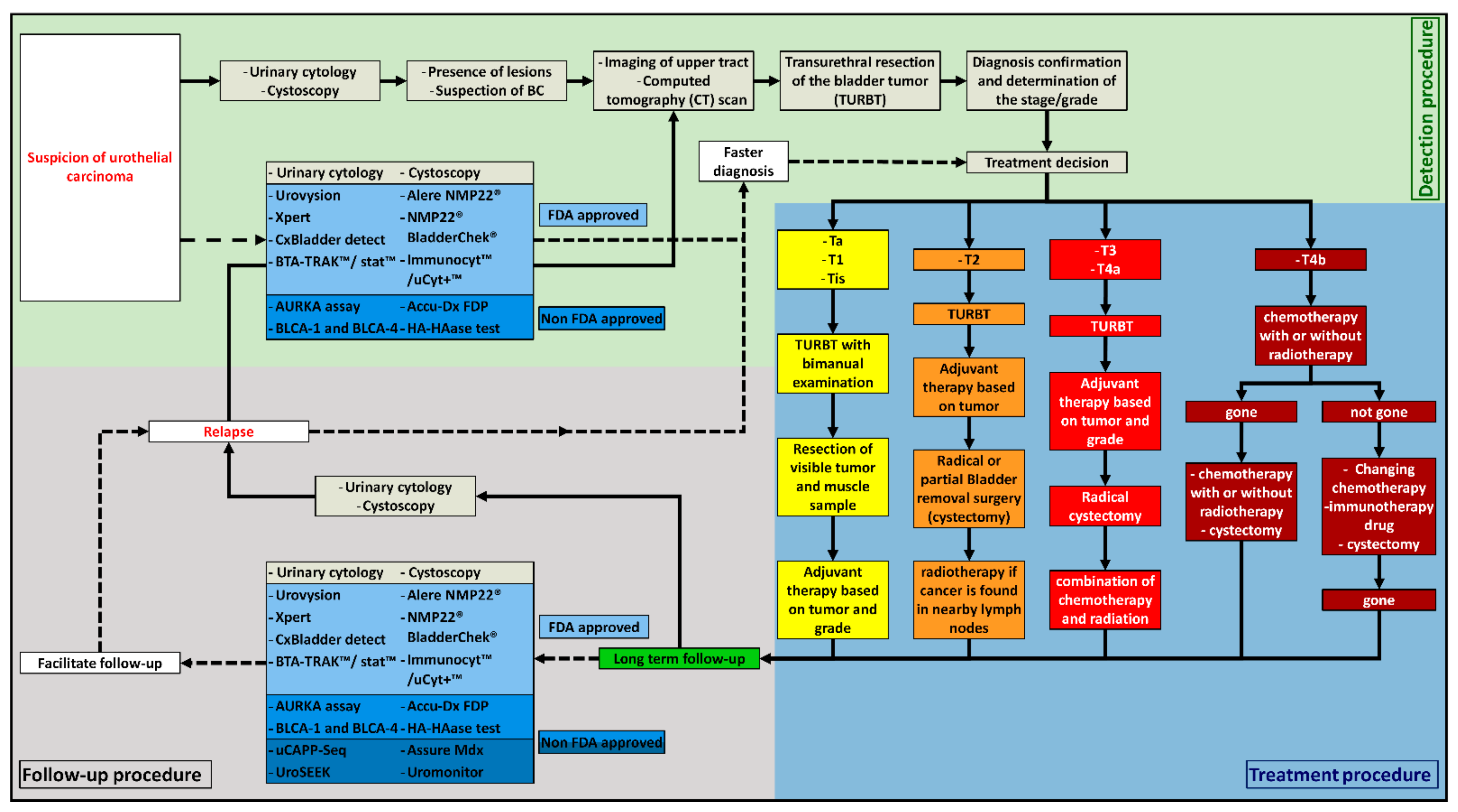 Cancers Free FullText Noninvasive UrineBased Tests to Diagnose or Detect Recurrence of