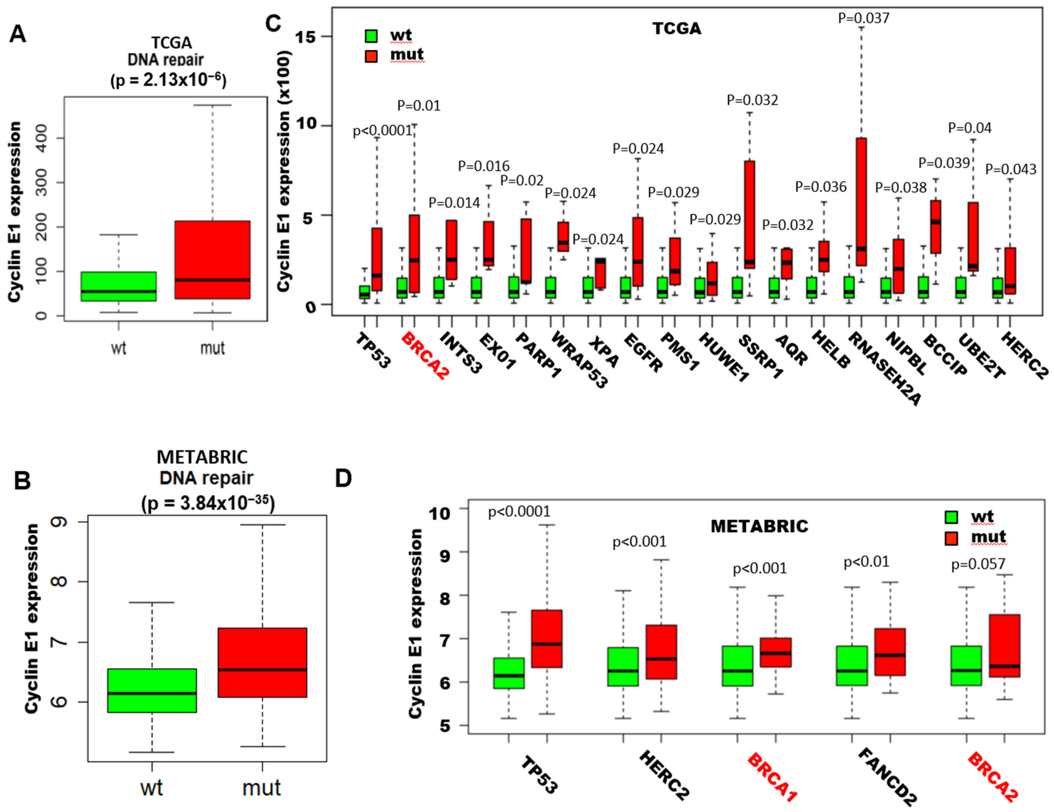 Cancers 13 01656 g001a Cancers 13 01656 g001a