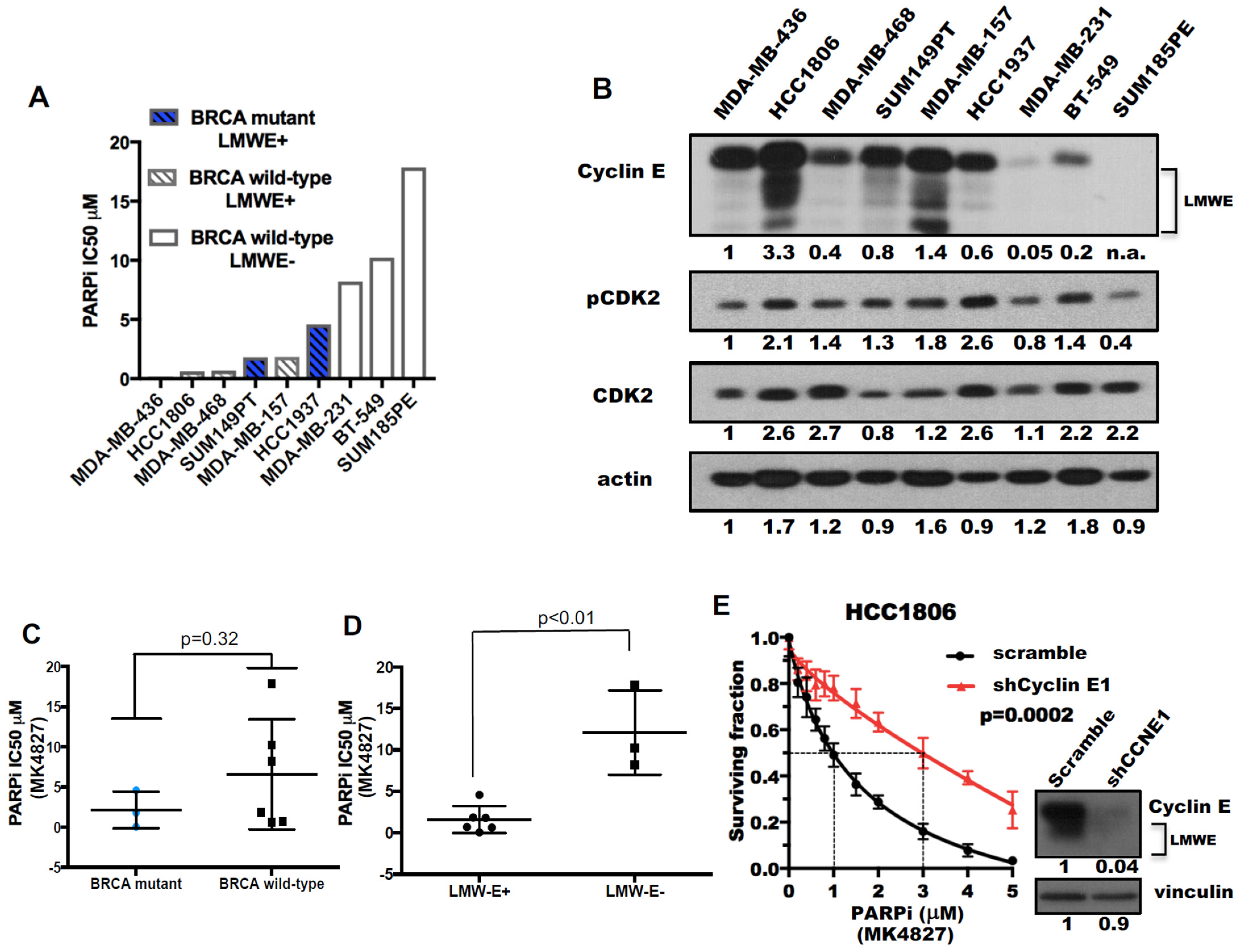 Cancers 13 01656 g002a Cancers 13 01656 g002a