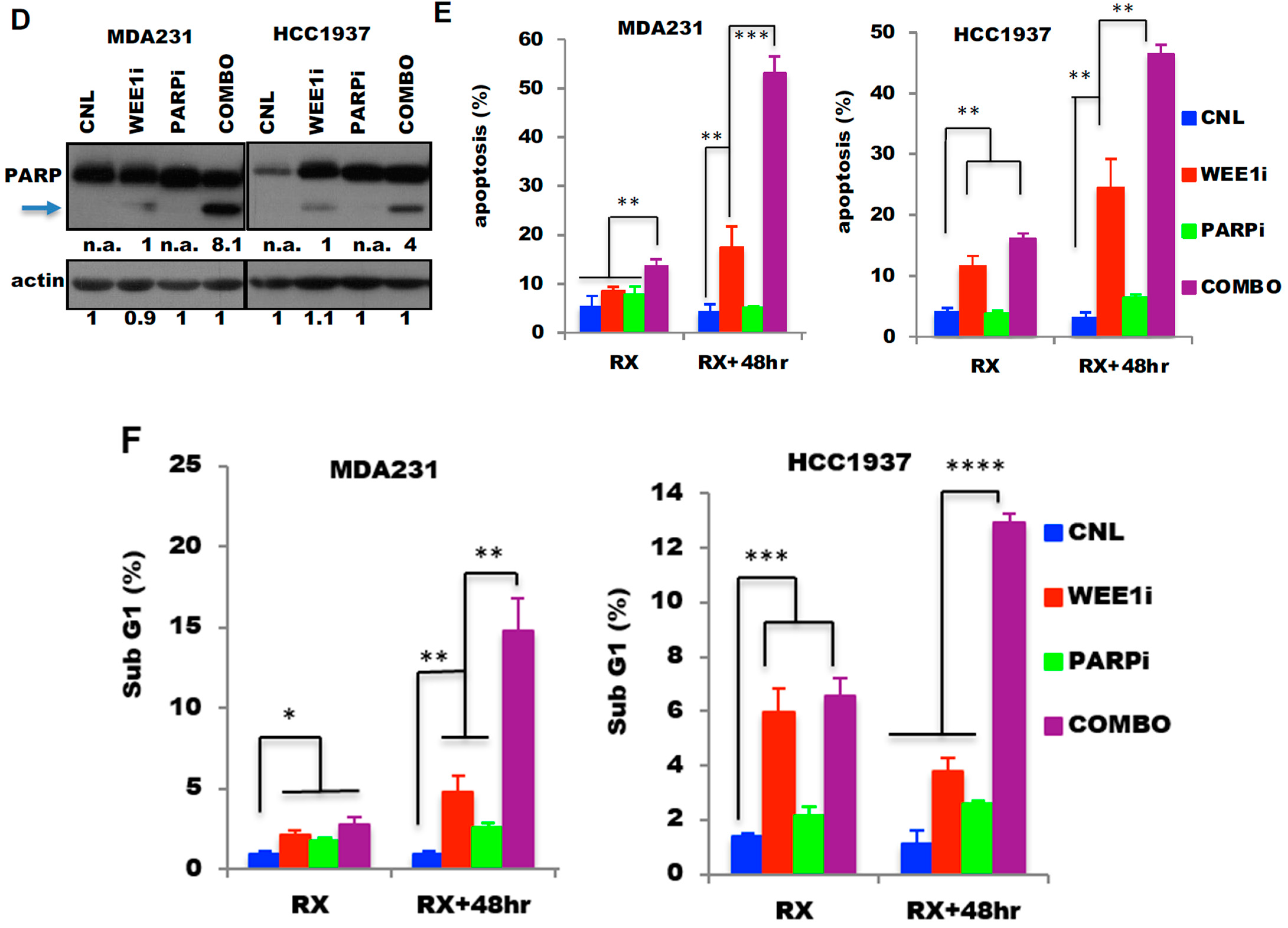 Cancers 13 01656 g003b Cancers 13 01656 g003b