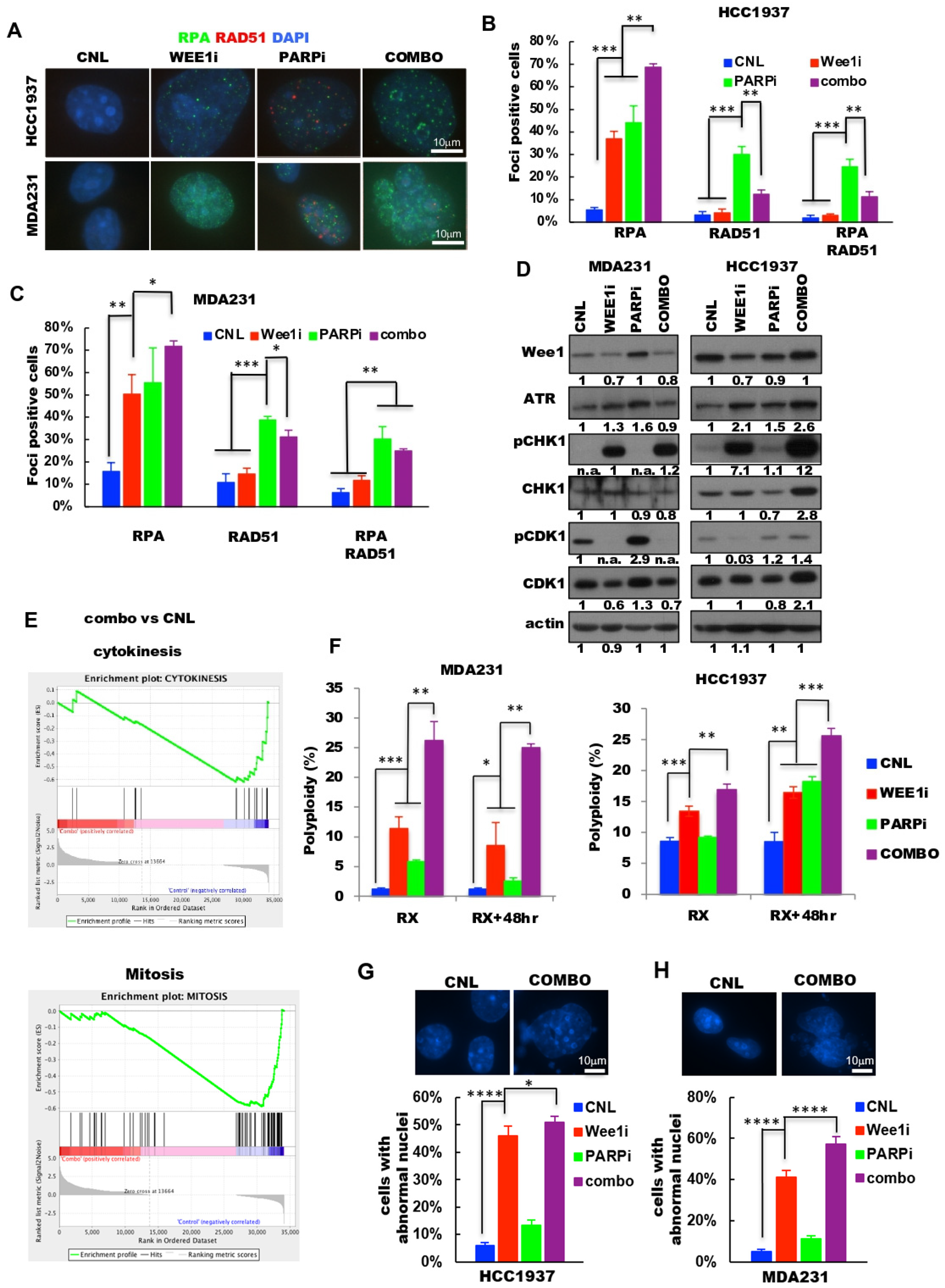 Cancers 13 01656 g004 Cancers 13 01656 g004