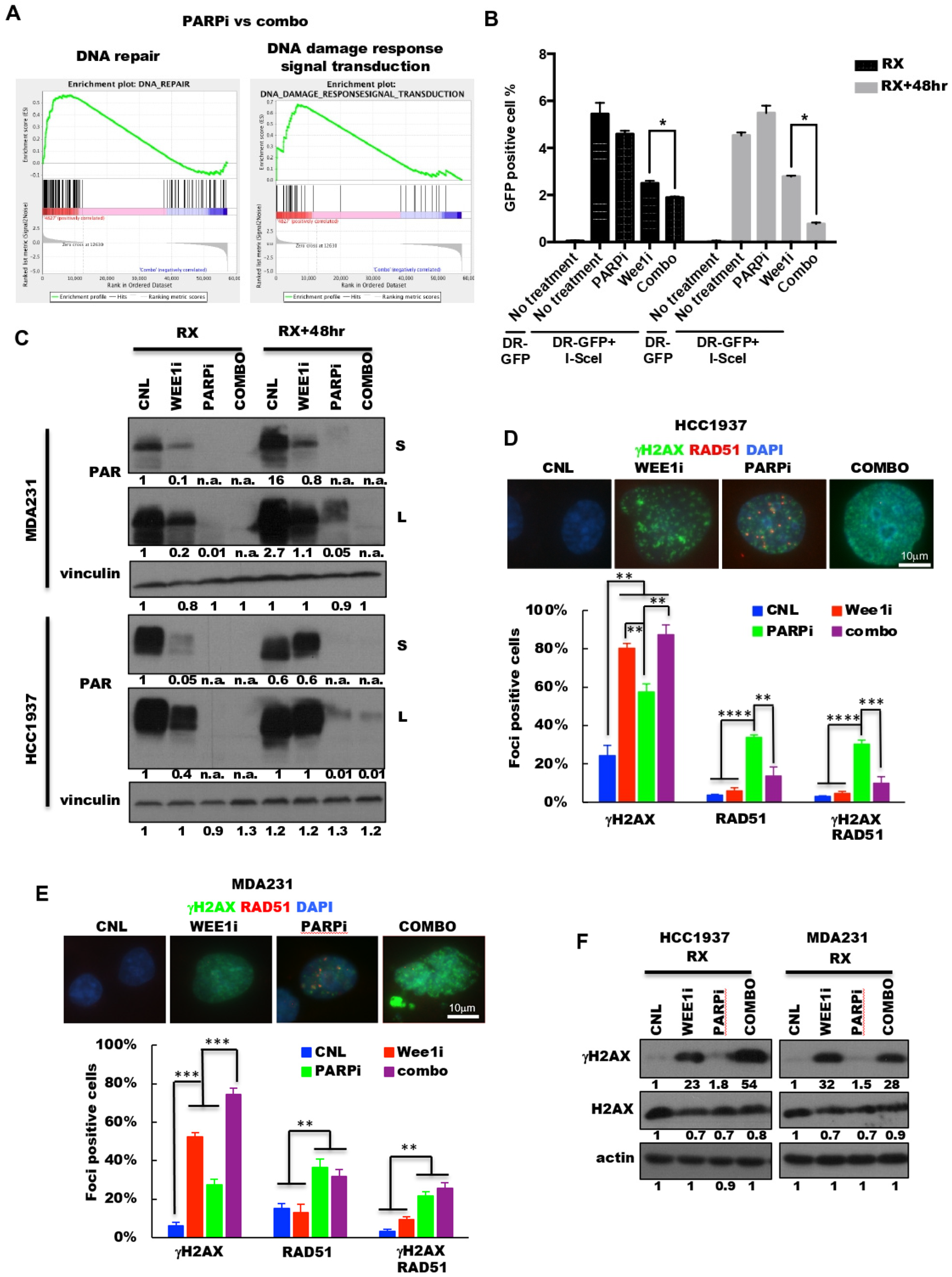 Cancers 13 01656 g005 Cancers 13 01656 g005