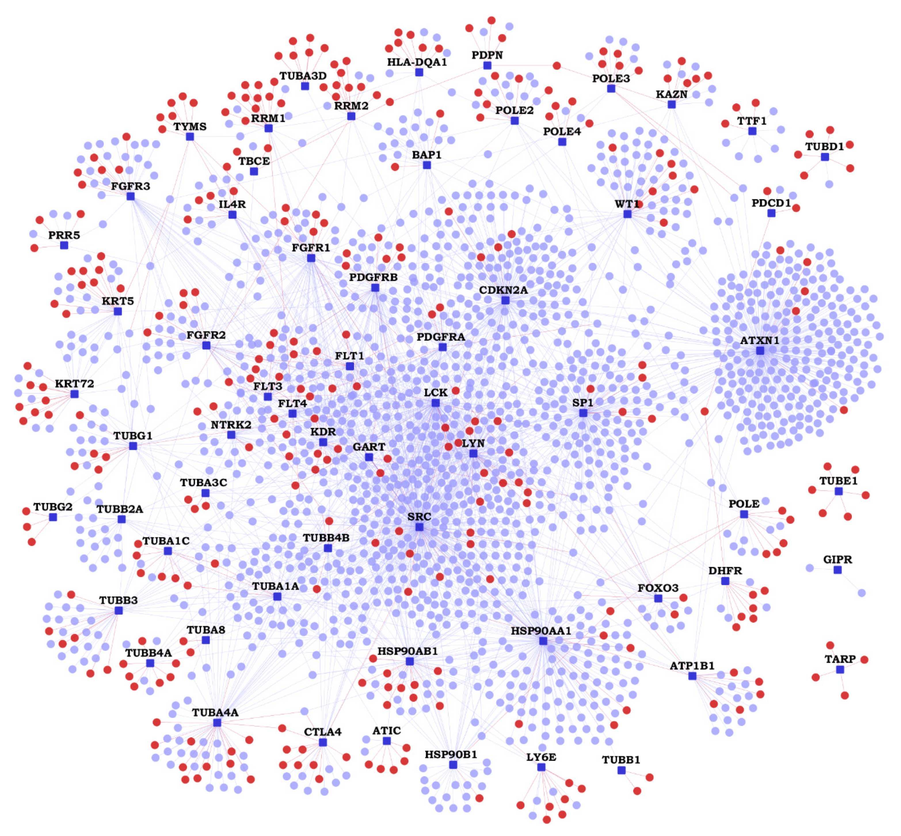 Cancers Free Full Text Malignant Pleural Mesothelioma Interactome With 364 Novel Protein Protein Interactions