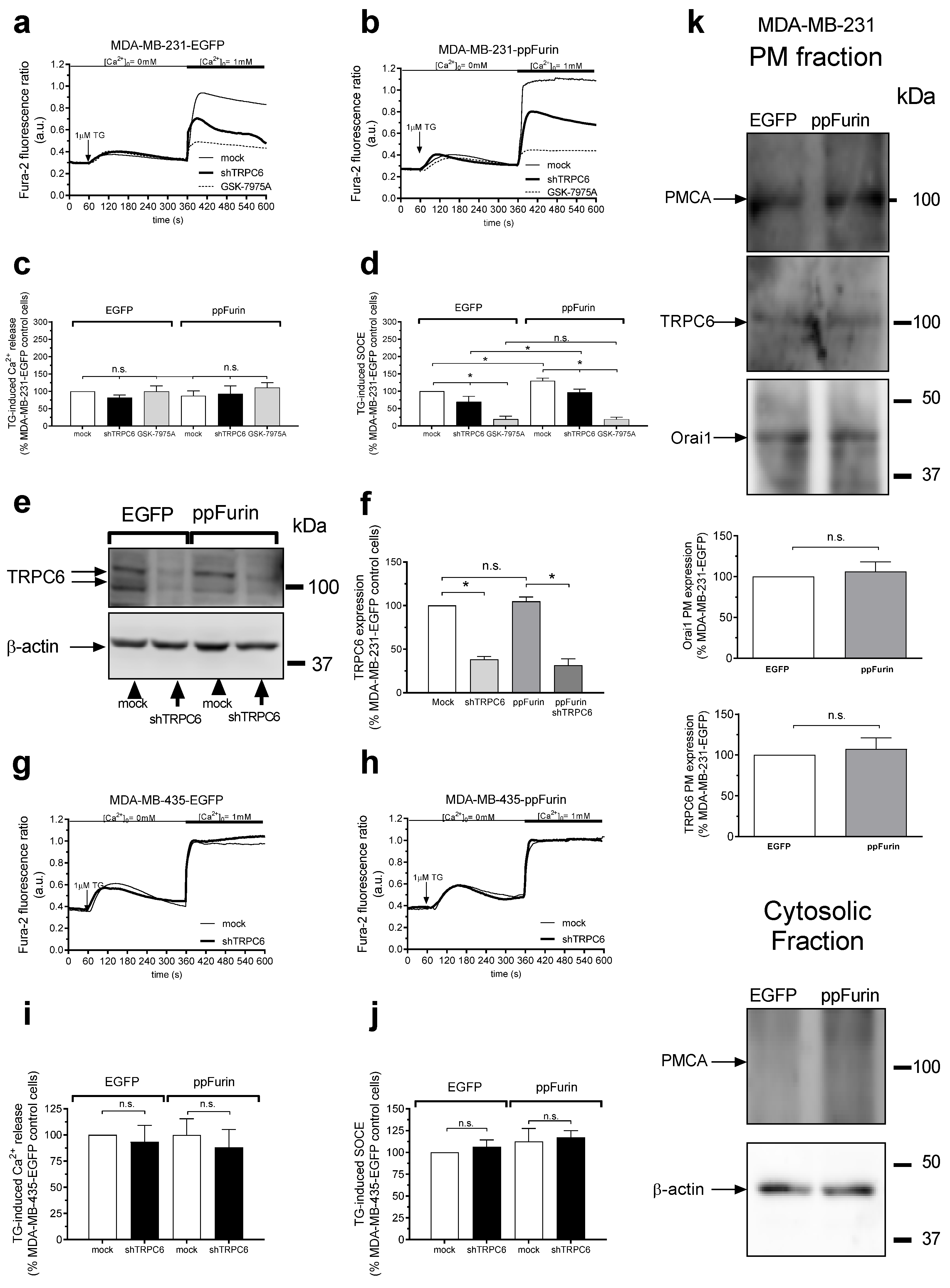 Cancers 13 01670 g005 Cancers 13 01670 g005