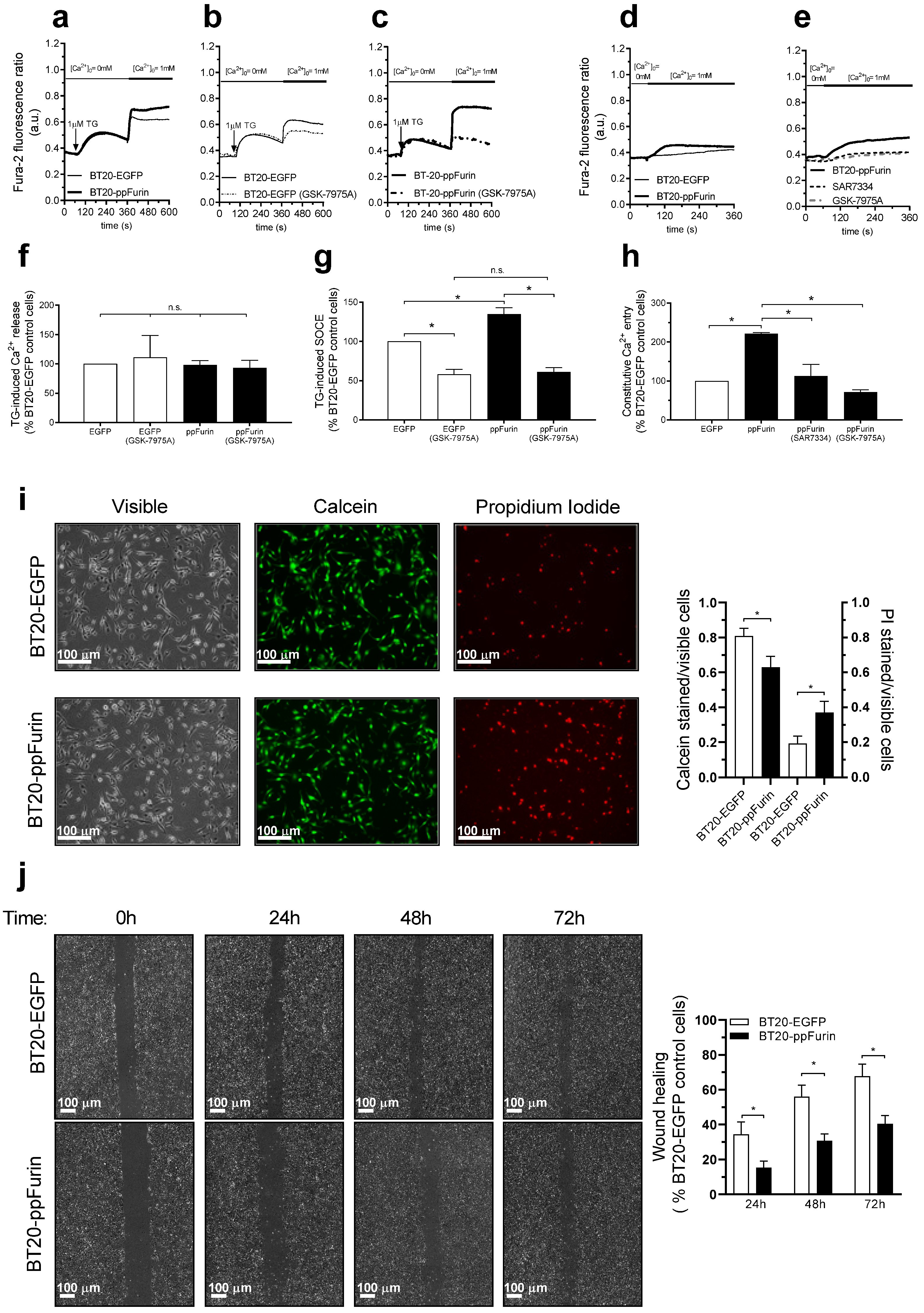 Cancers 13 01670 g008 Cancers 13 01670 g008