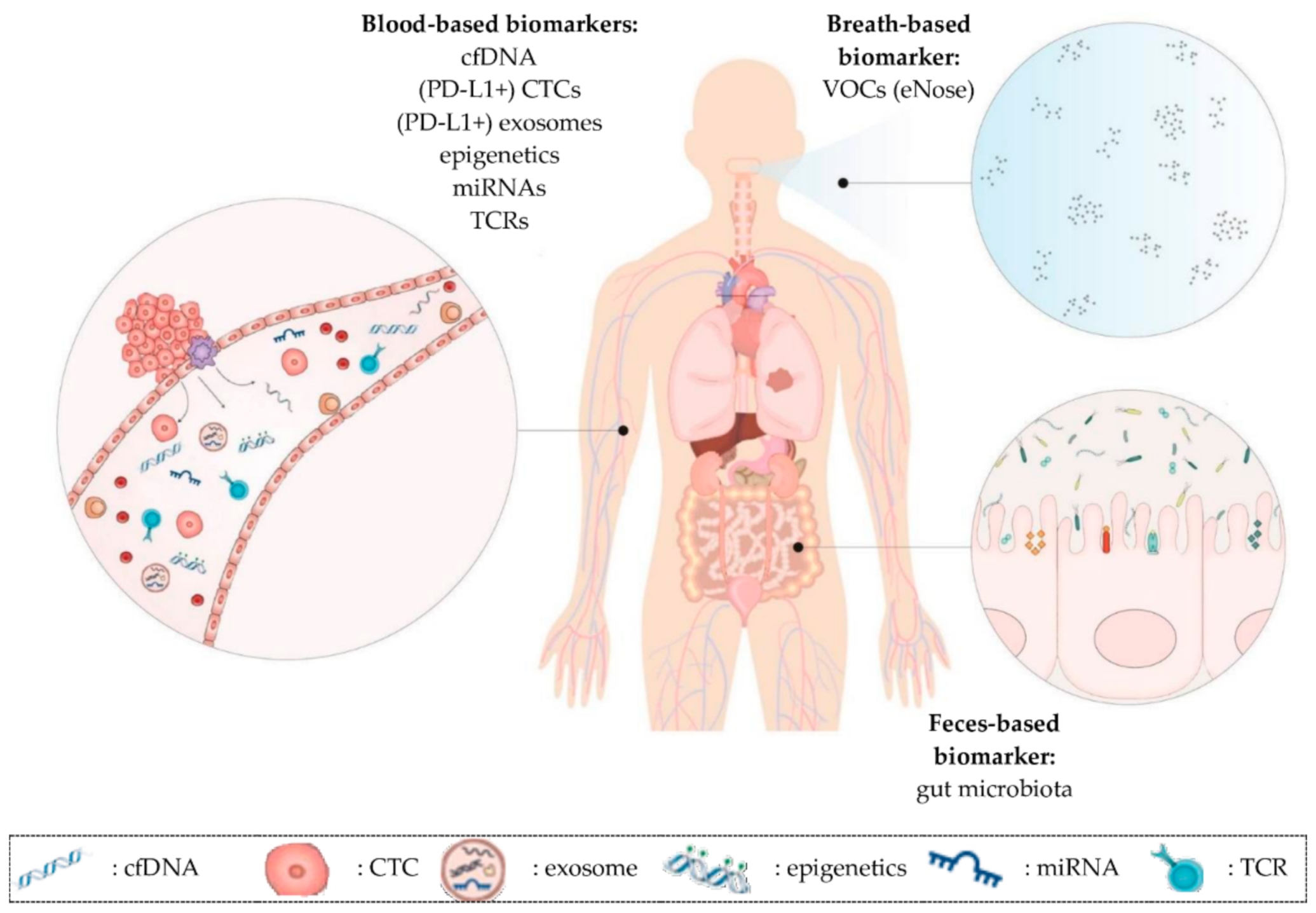 Cancers 13 01675 g001 Cancers 13 01675 g001