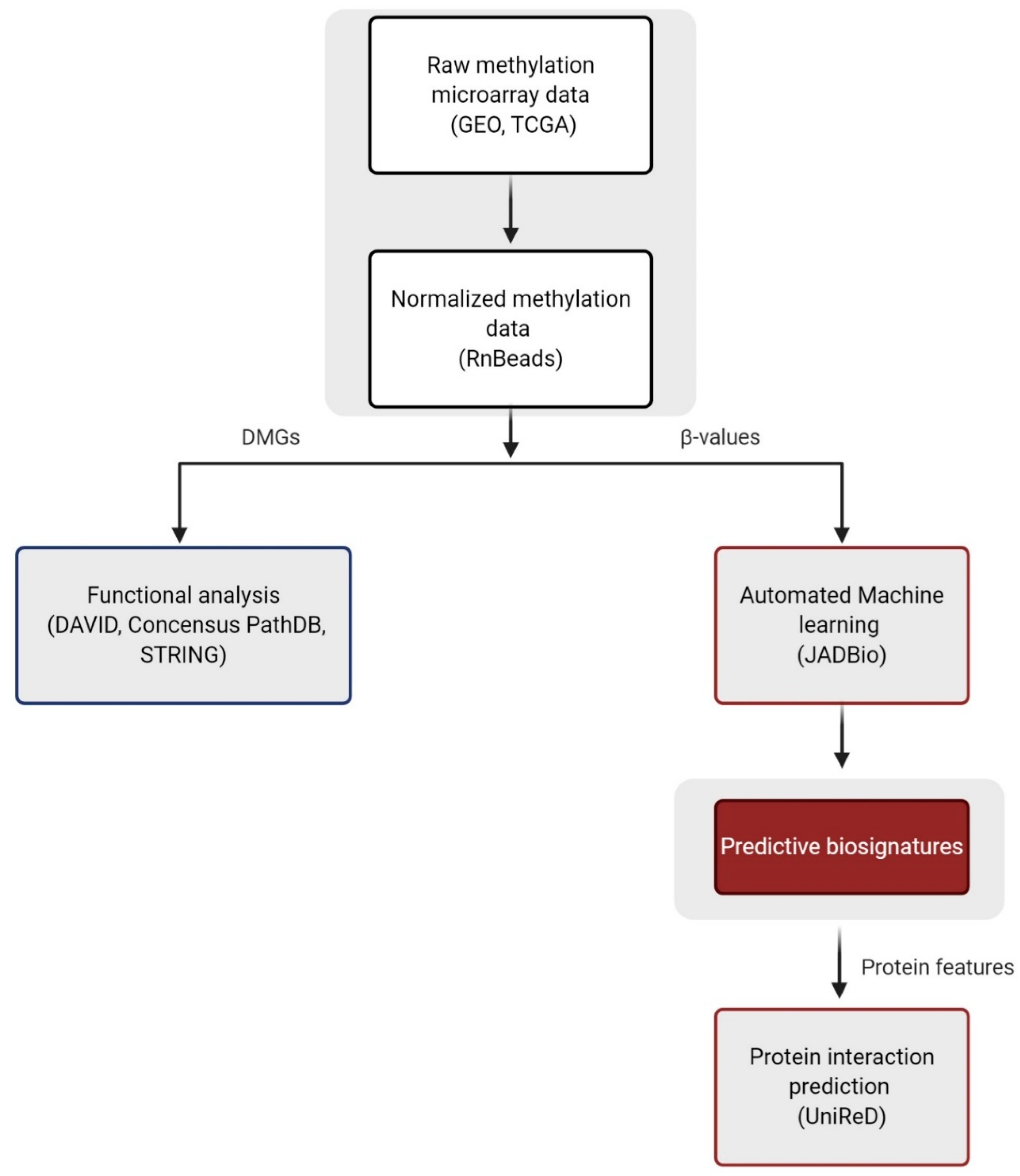 Cancers 13 01677 g001 Cancers 13 01677 g001