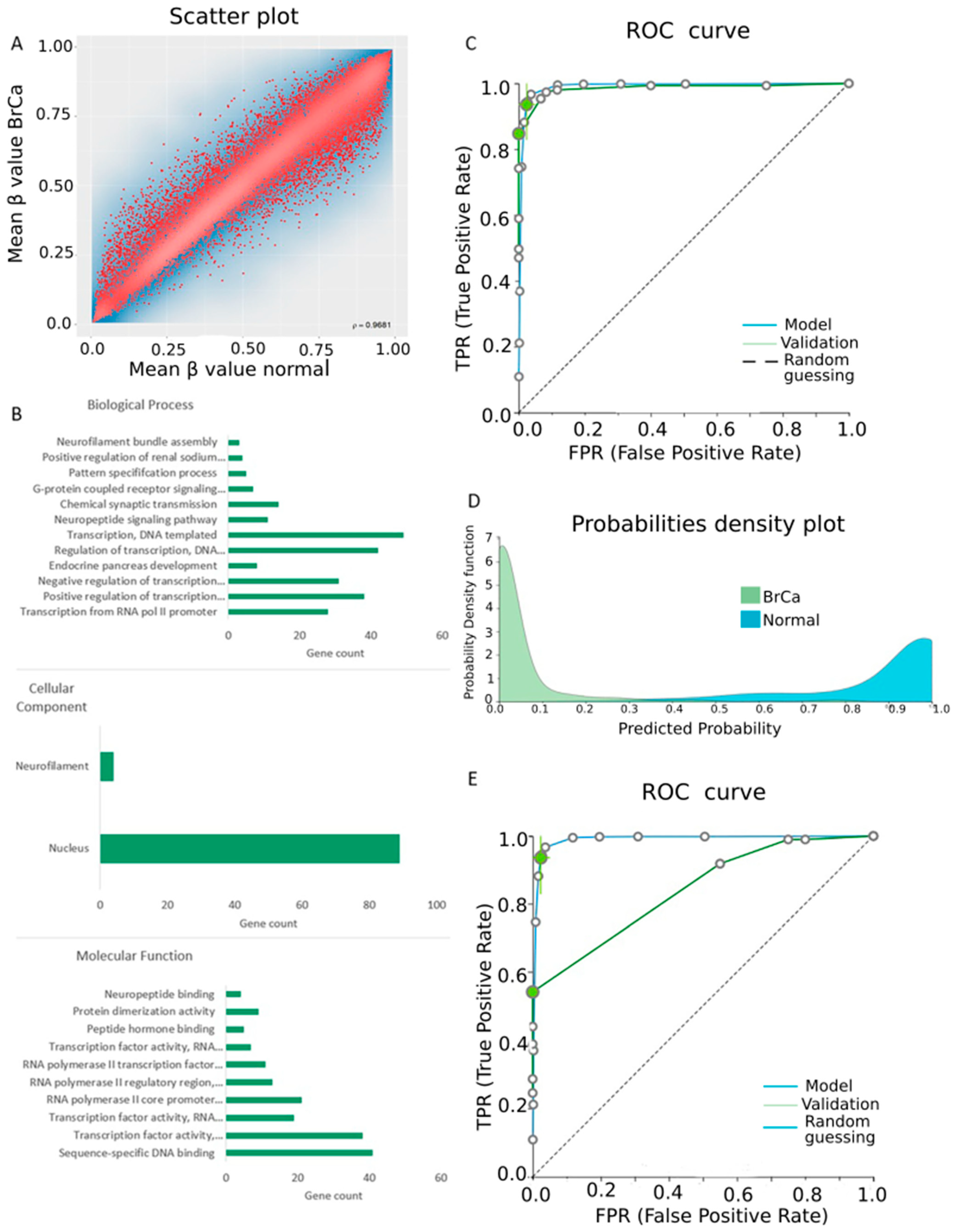 Cancers 13 01677 g002 Cancers 13 01677 g002