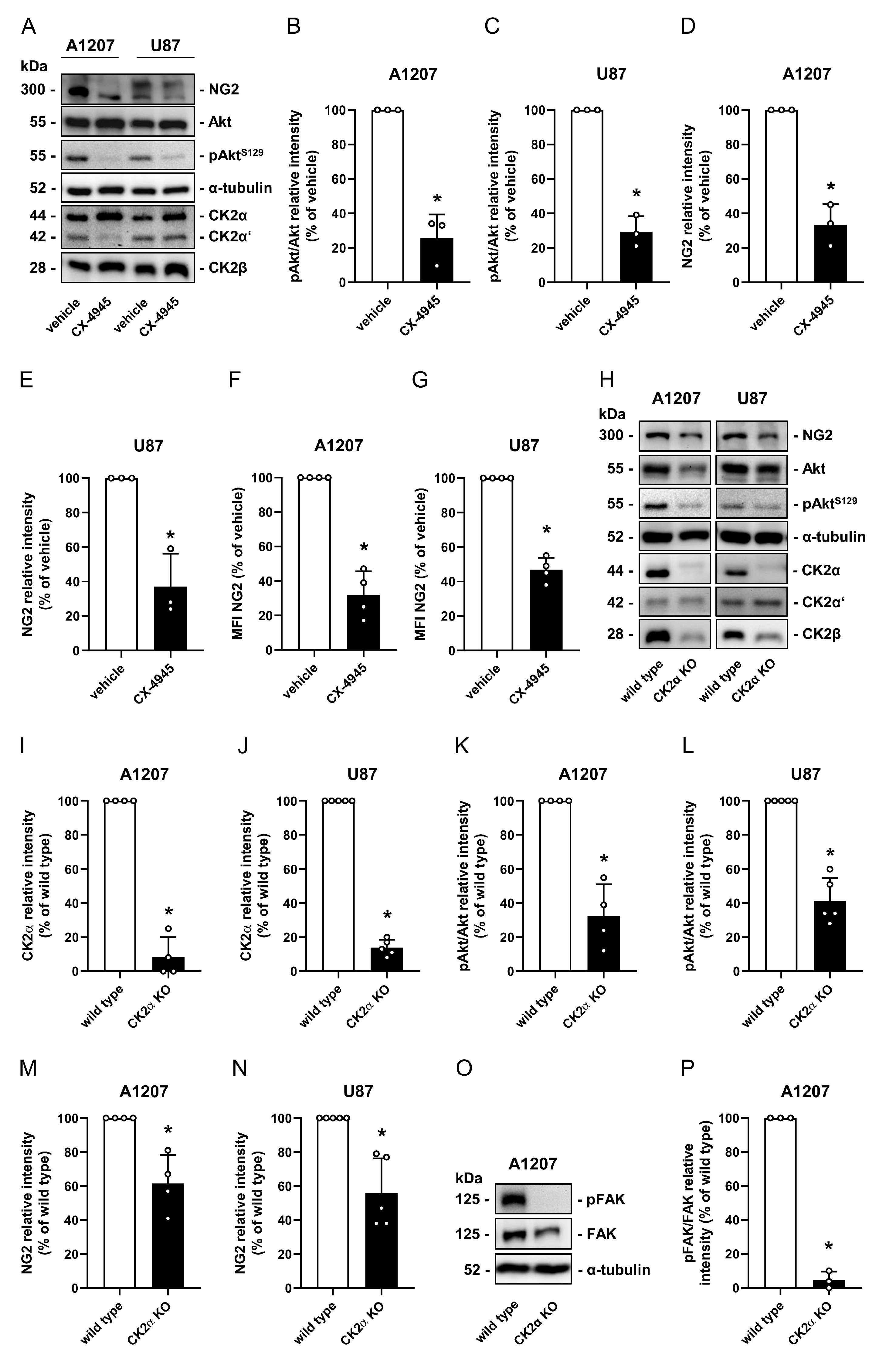 Cancers 13 01678 g001